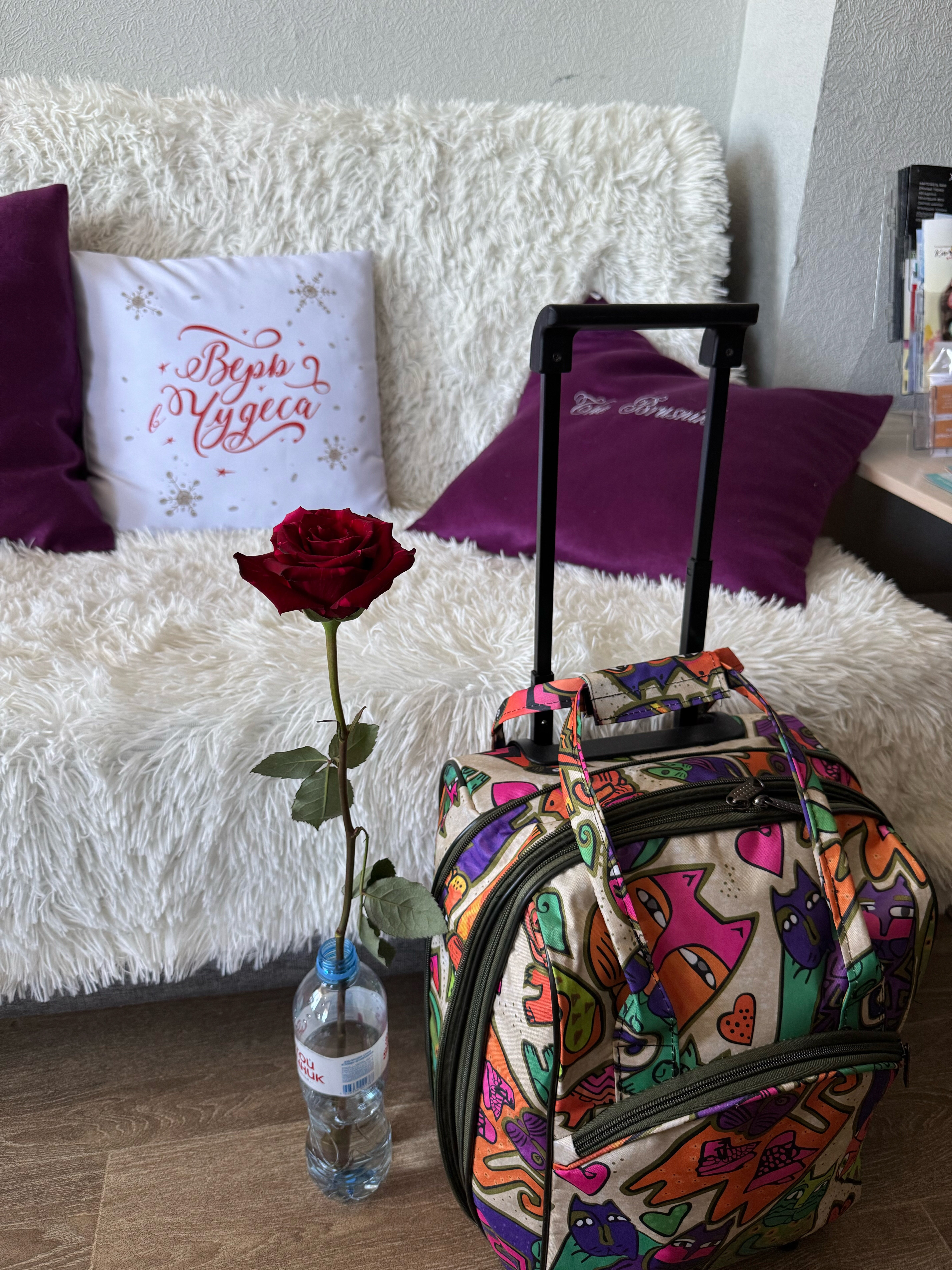 Фото Брусника