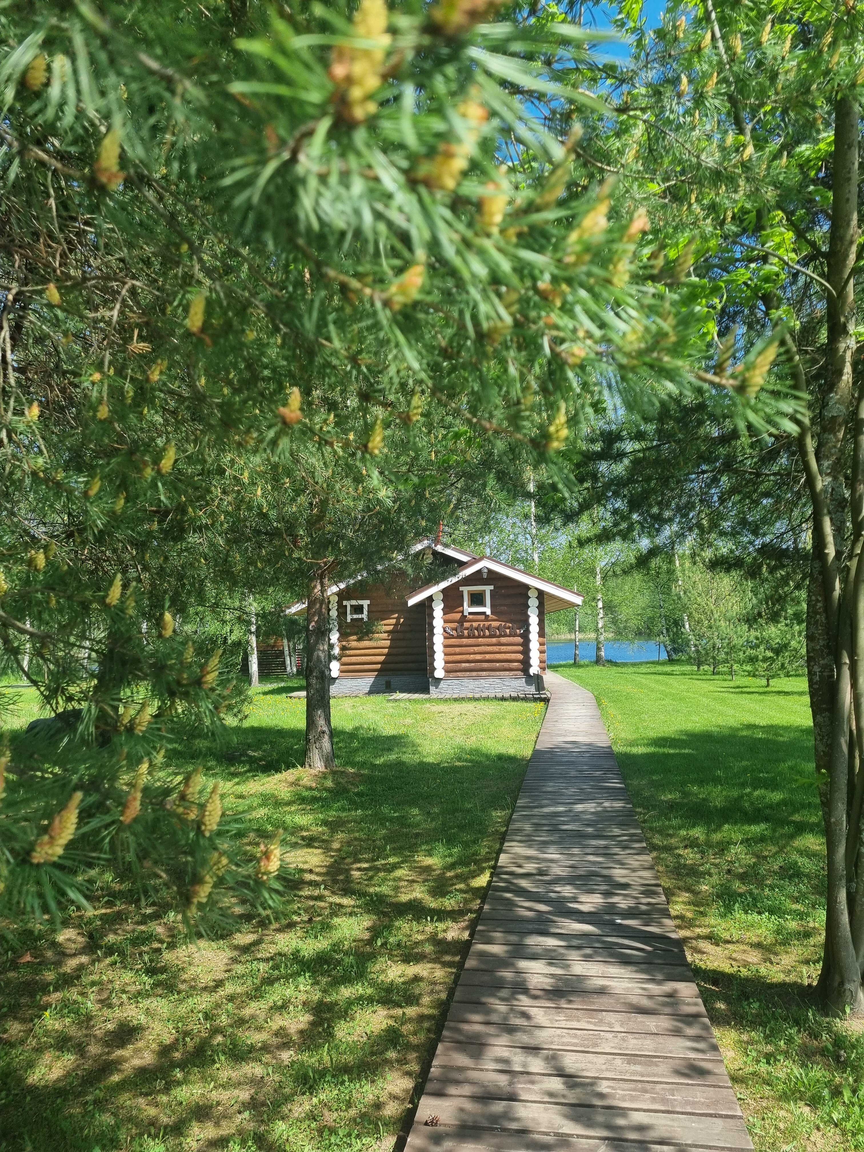 Фото На Чеснаве