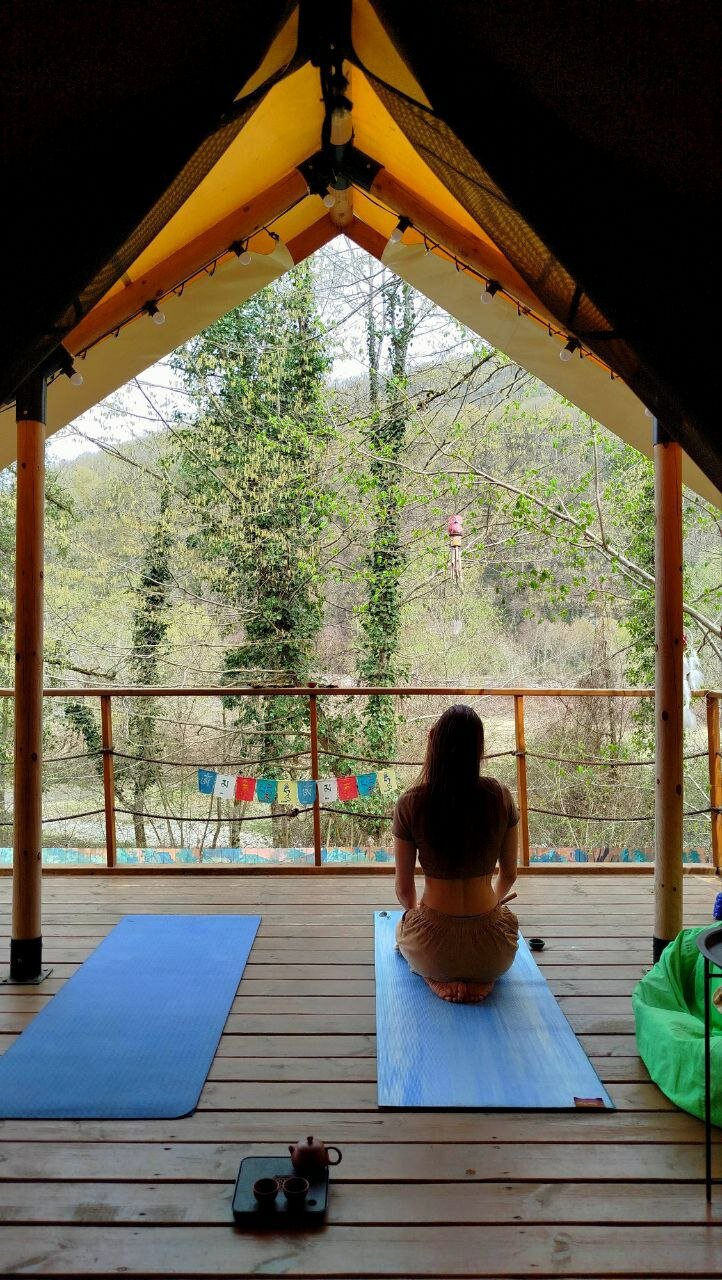 Фото Южный Вайб Древо