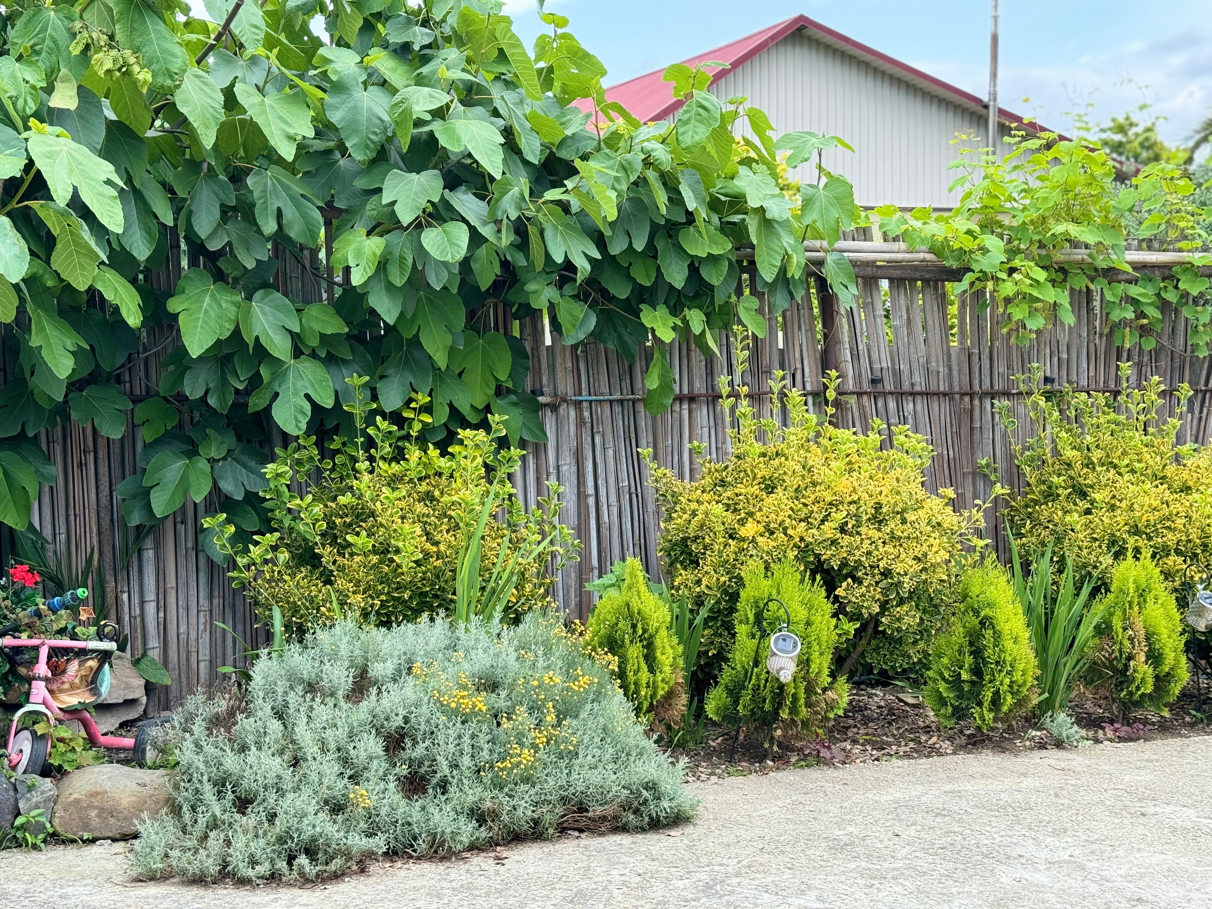 Фото Hotel Damir