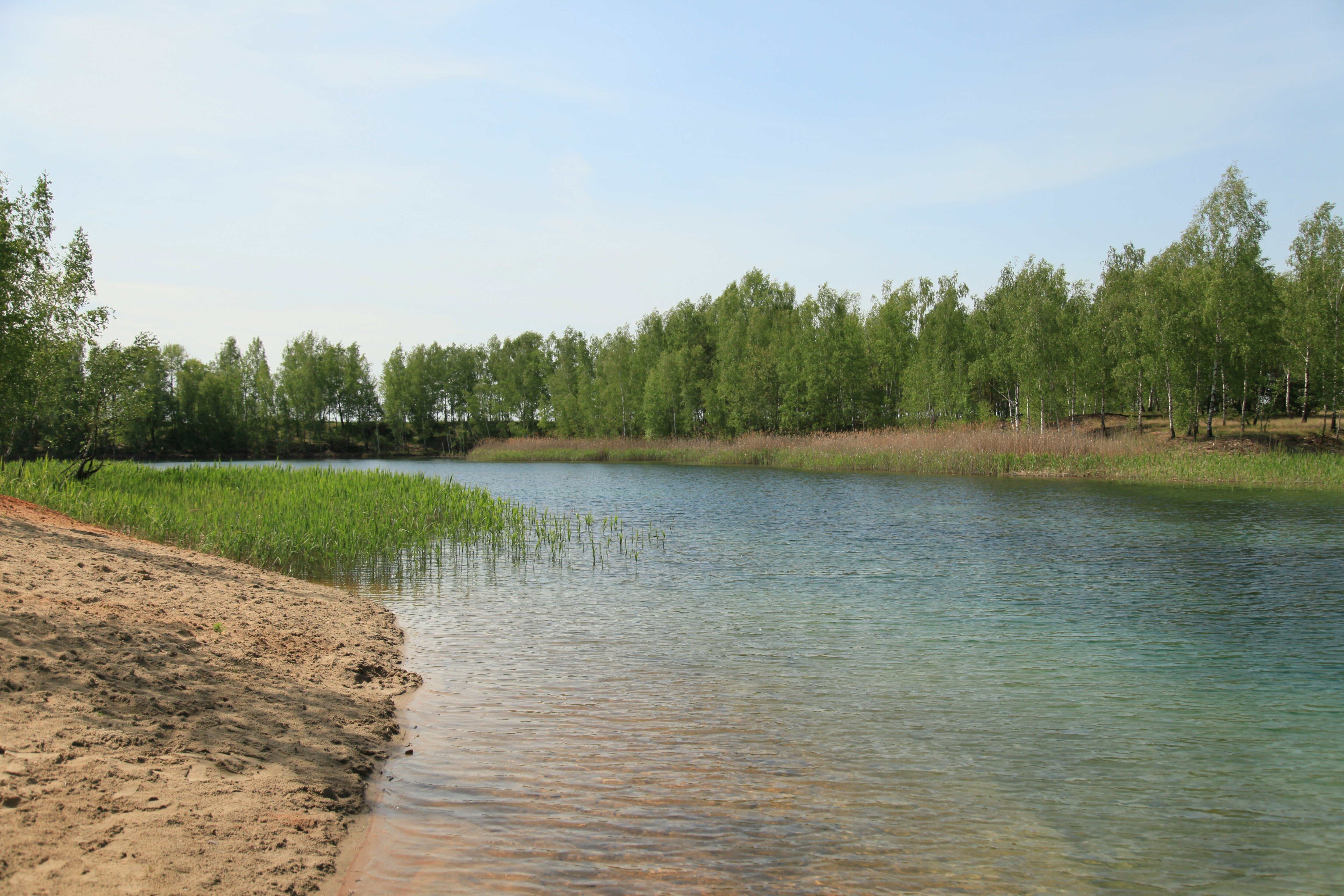 Фото Владимир