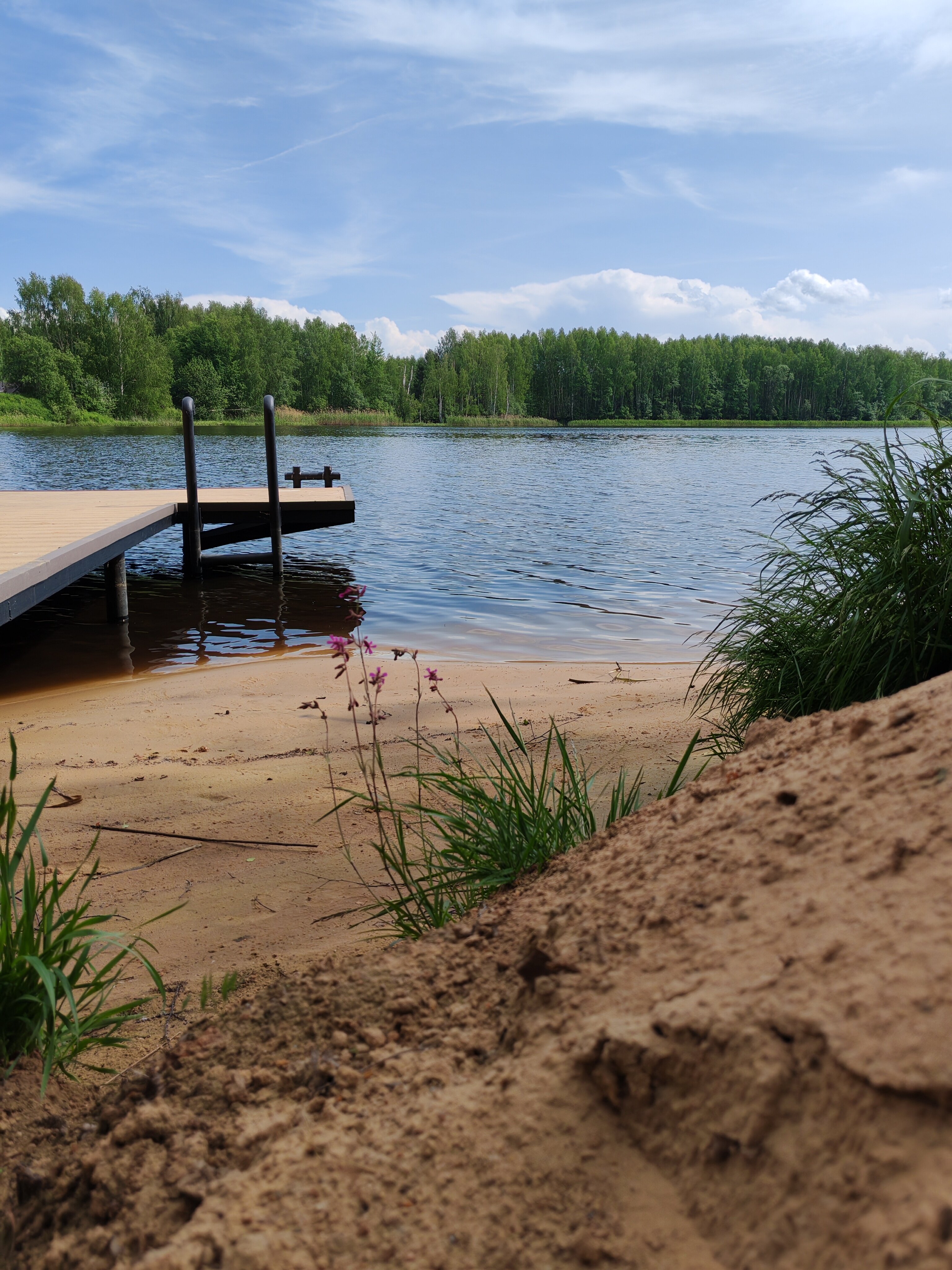 Фото Экодача 12 месяцев