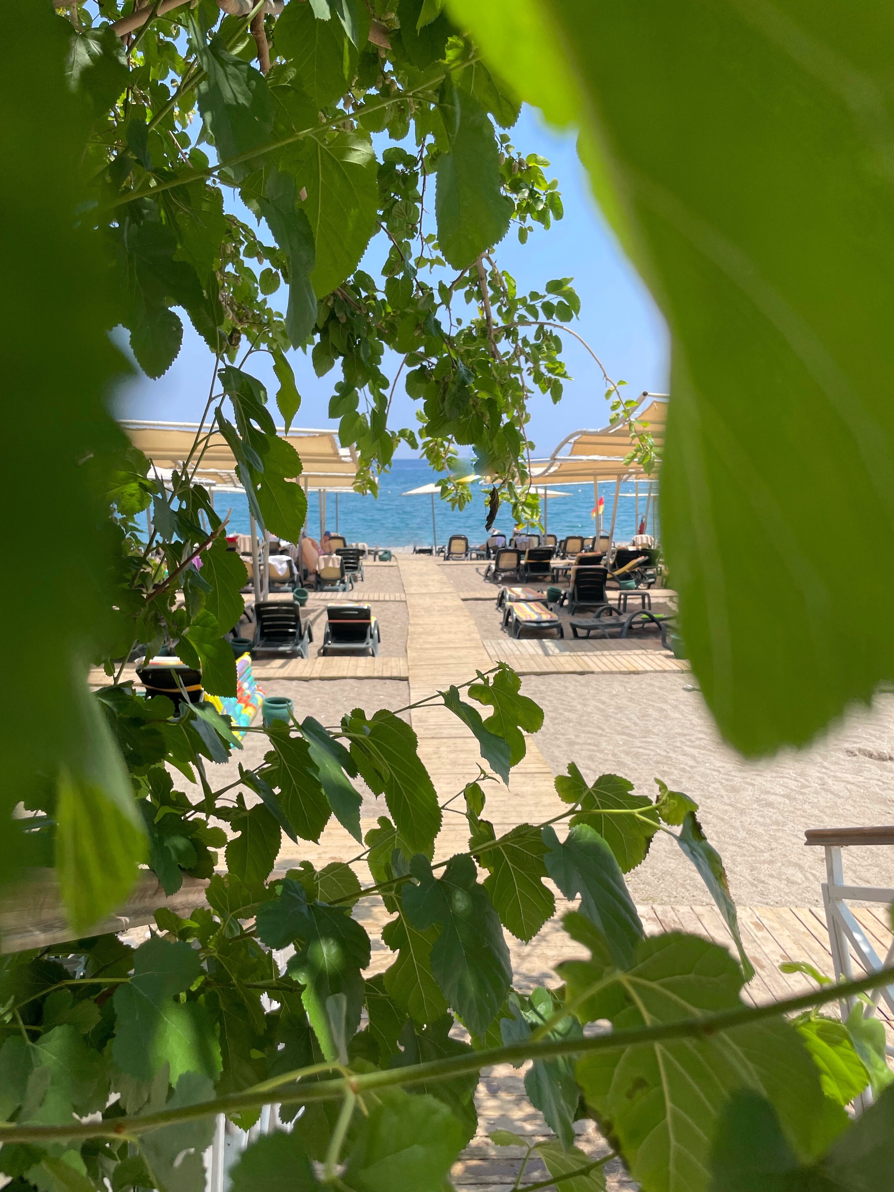 Фото Greenwood Kemer Resort