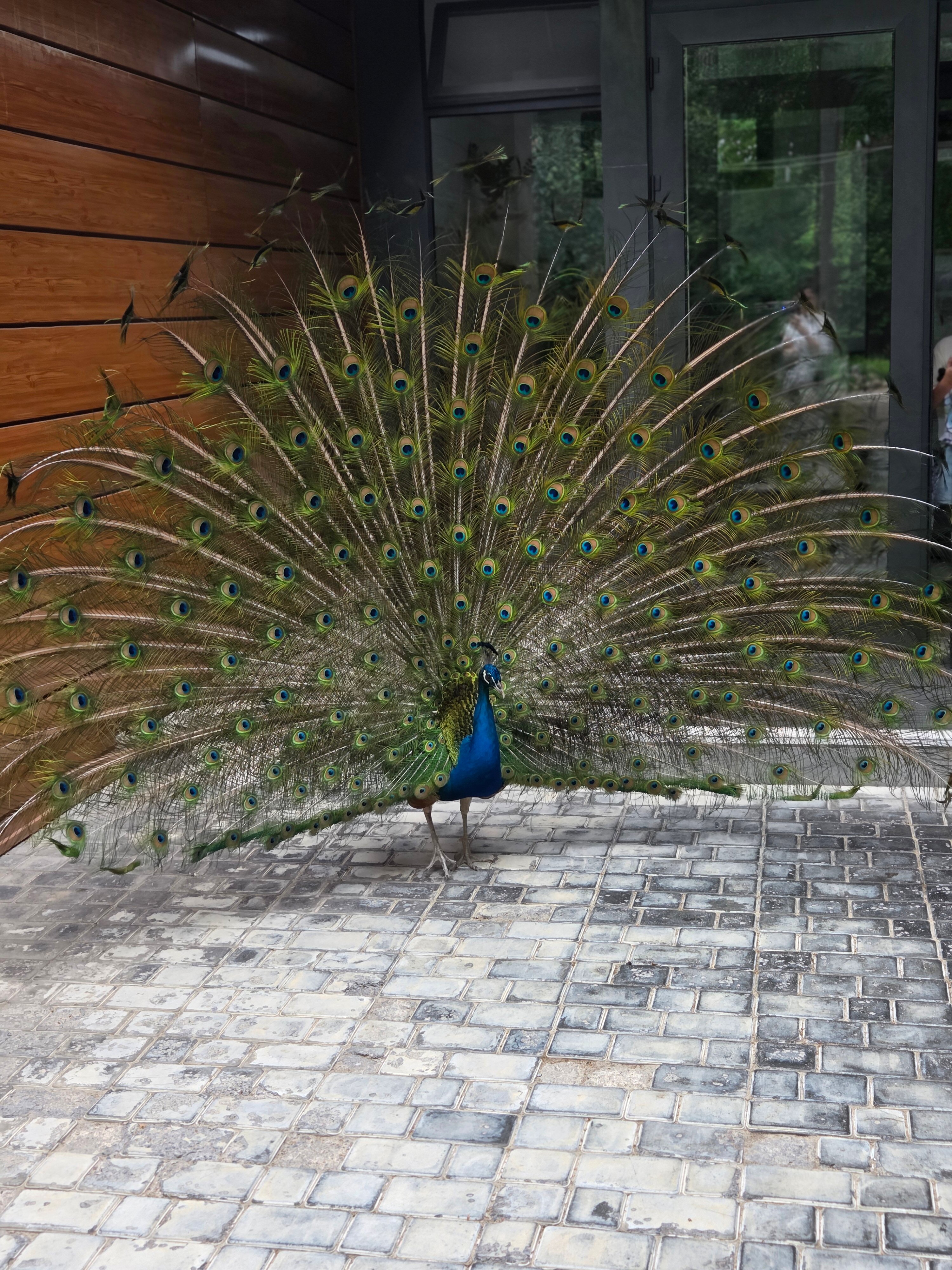 Фото Rano Eco Village