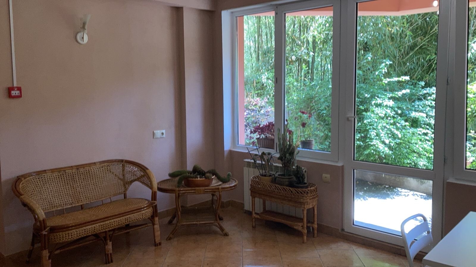 Фото Бамбуковый рай