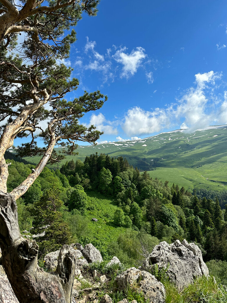 Observation deck Лаго-Наки, Krasnodar Krai, photo