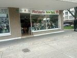 Floristería New York (Bogotá, Chapinero, Calle 98, 18-21), flower shop