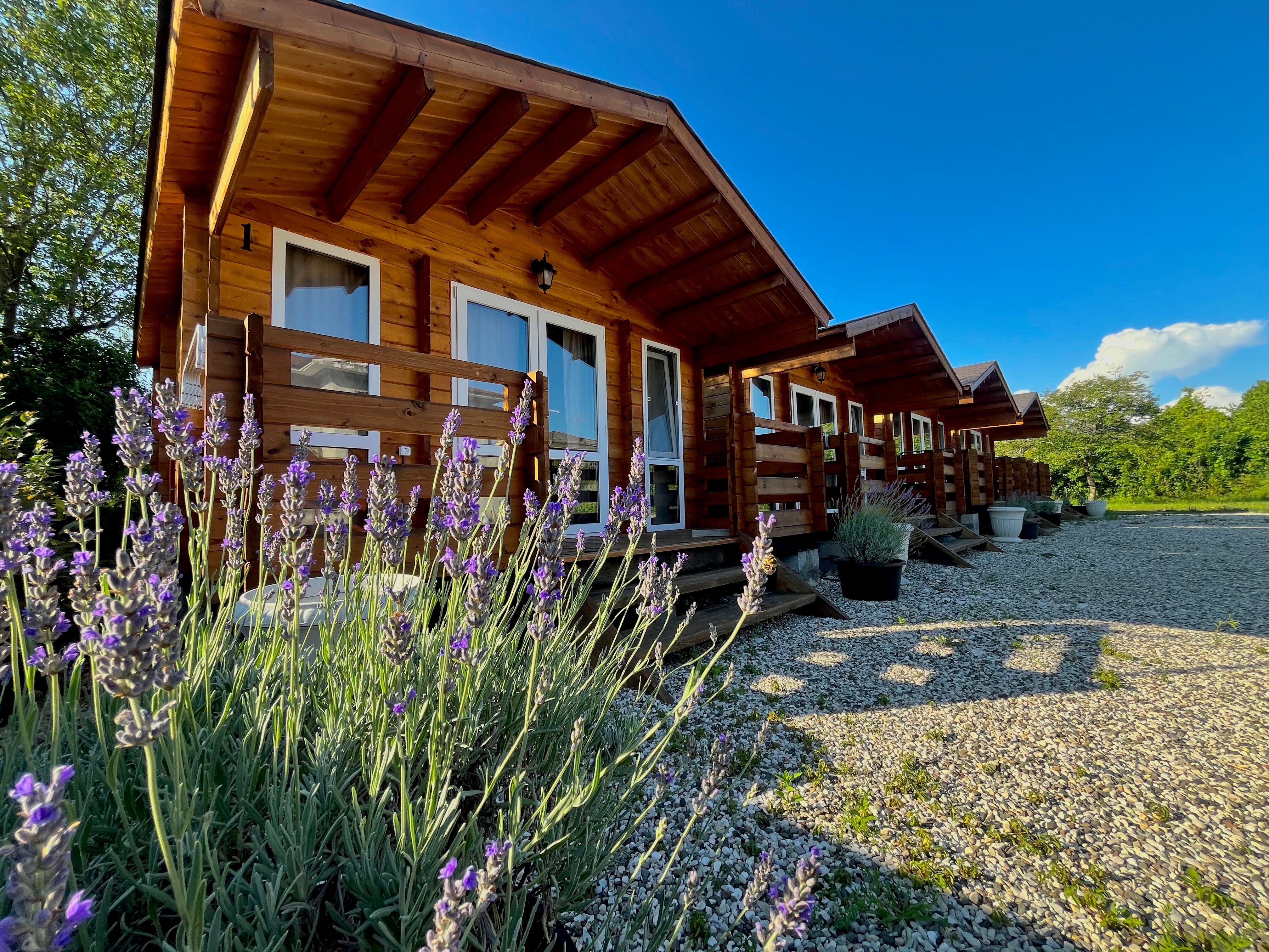 Фото Гостевой дом Лаванда