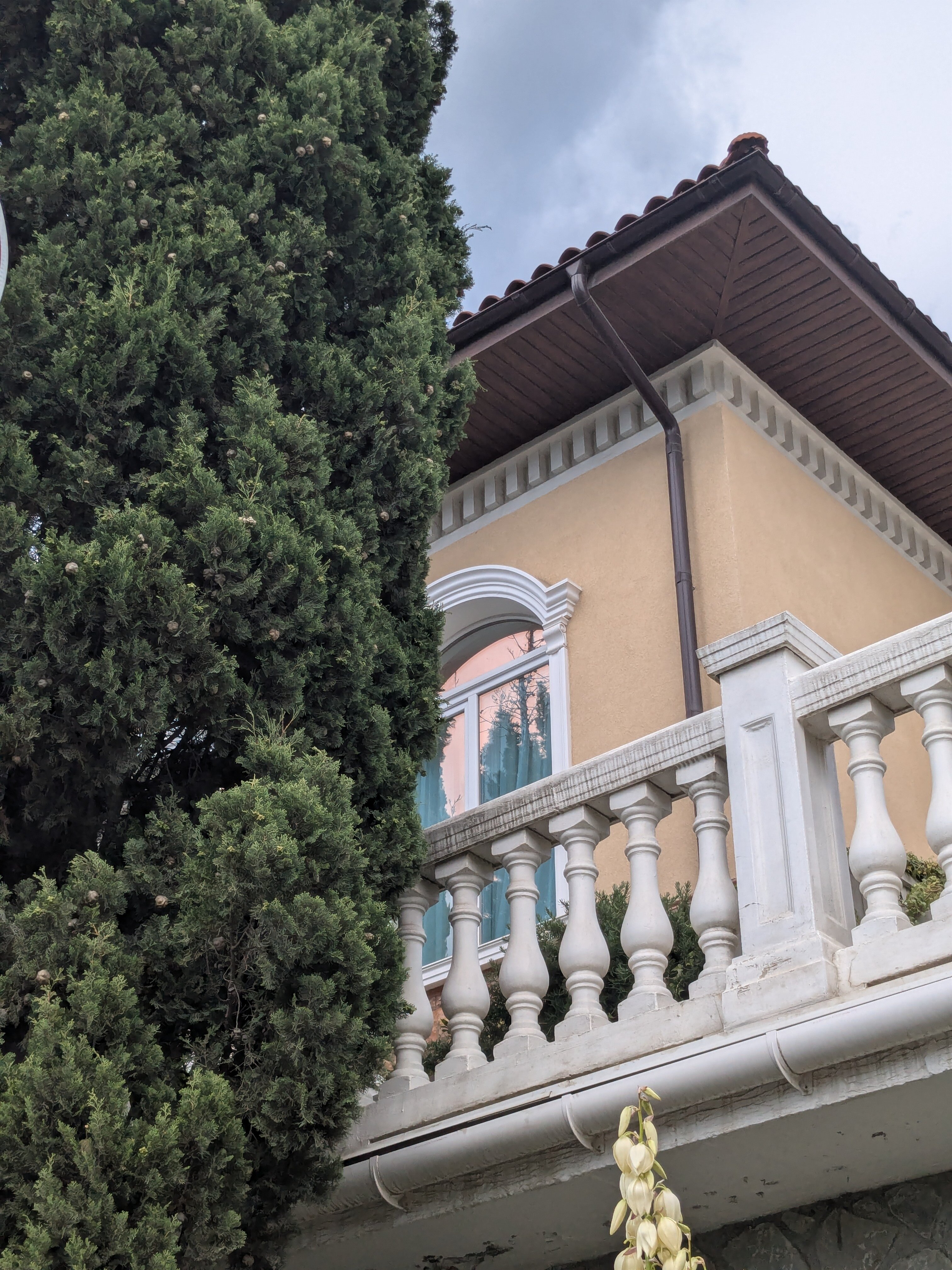 Фото Роза ветров