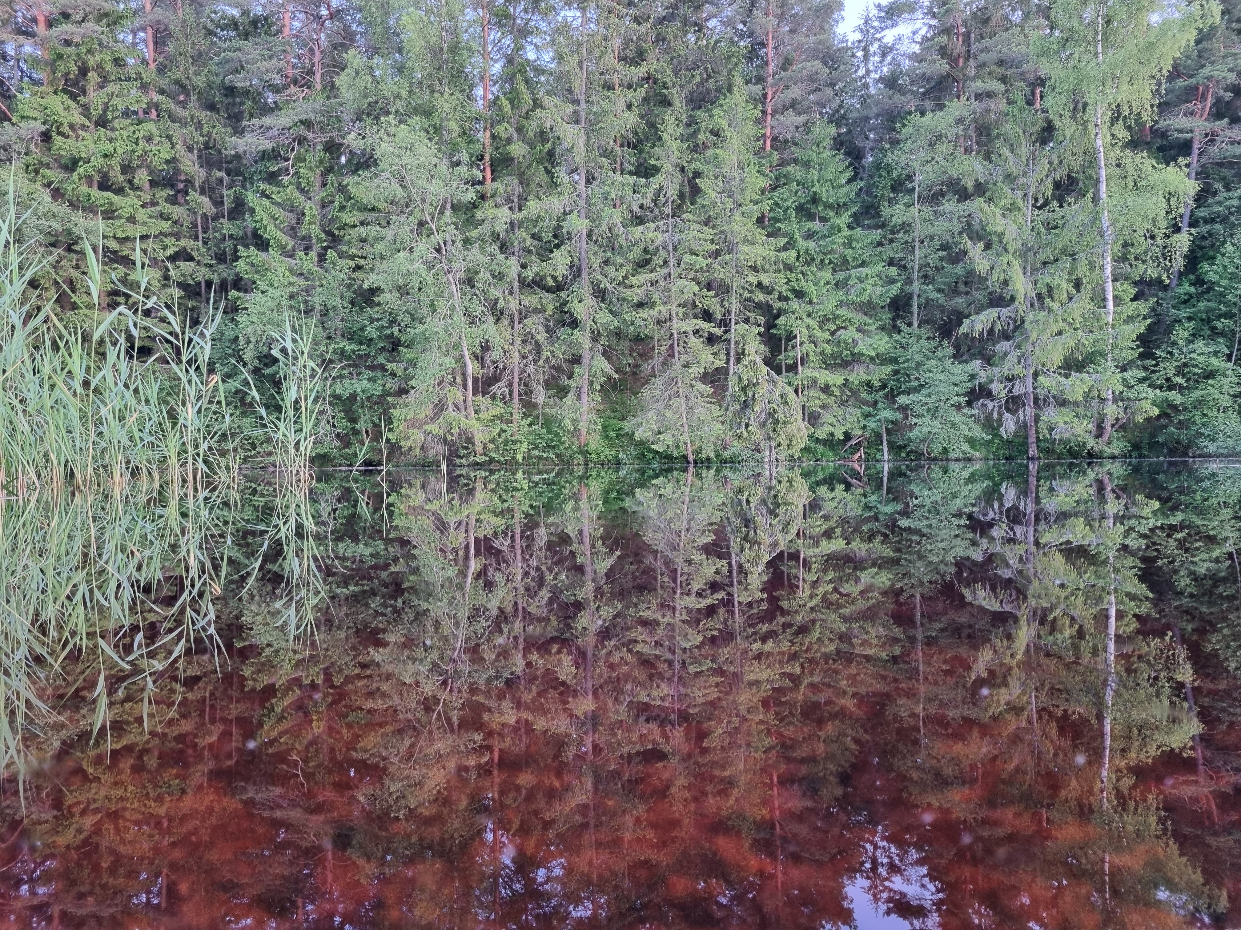 Фото Агроусадьба Мечта