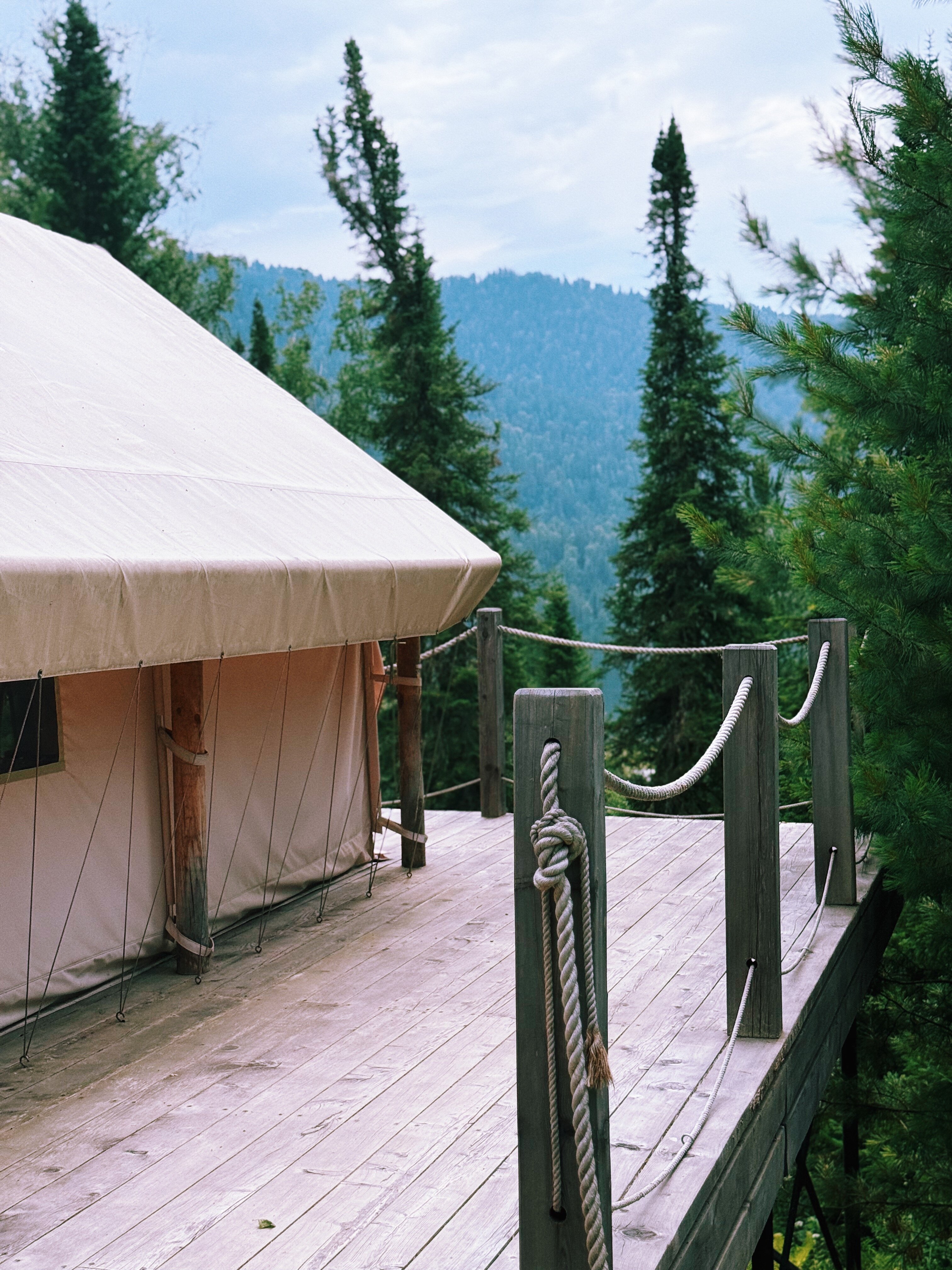 Фото Кедровая берлога