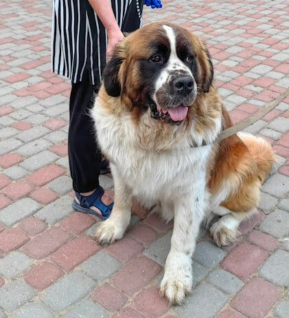 Фото Летопись