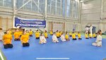 Азбука Карате (Ultramarinovaya ulitsa, 8), club deportivo, sección
