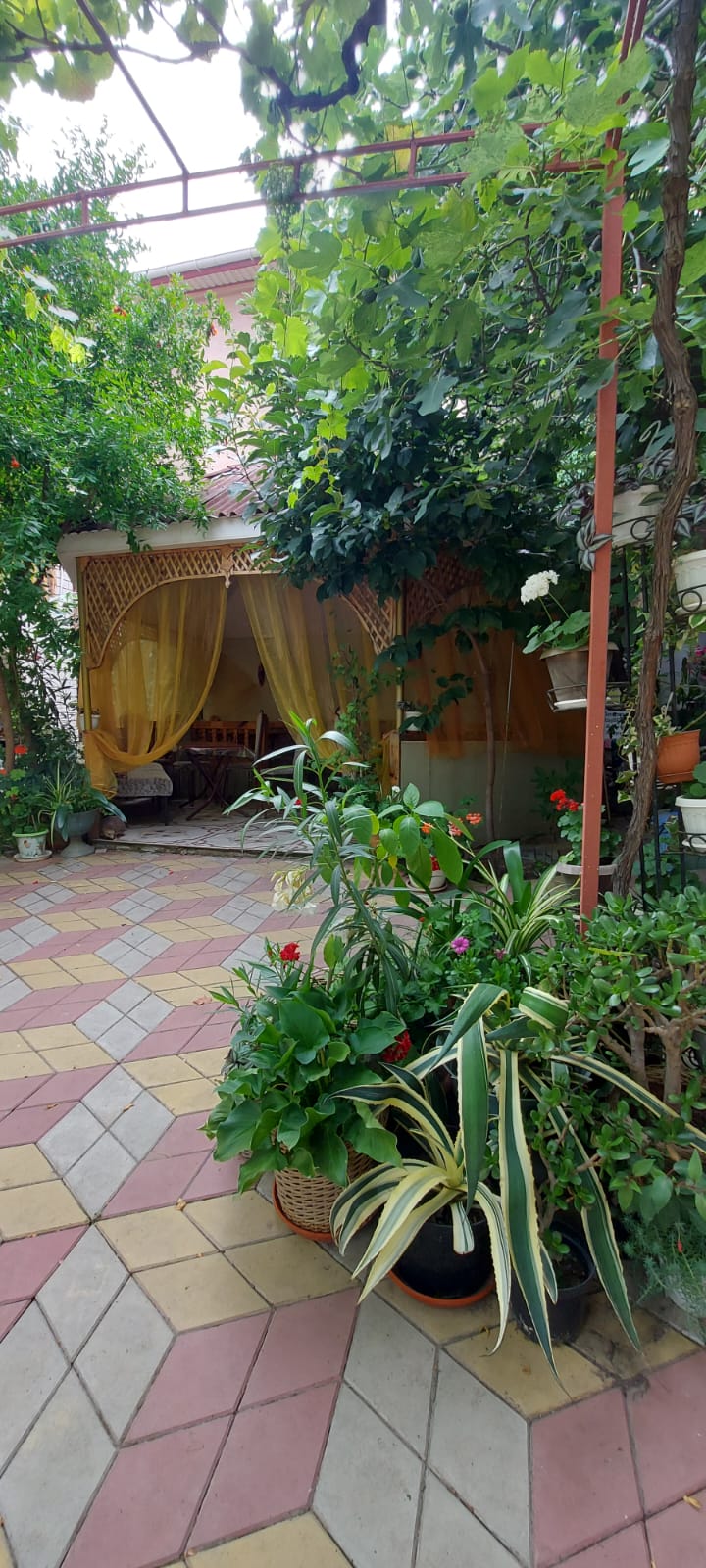 Фото Идиллия