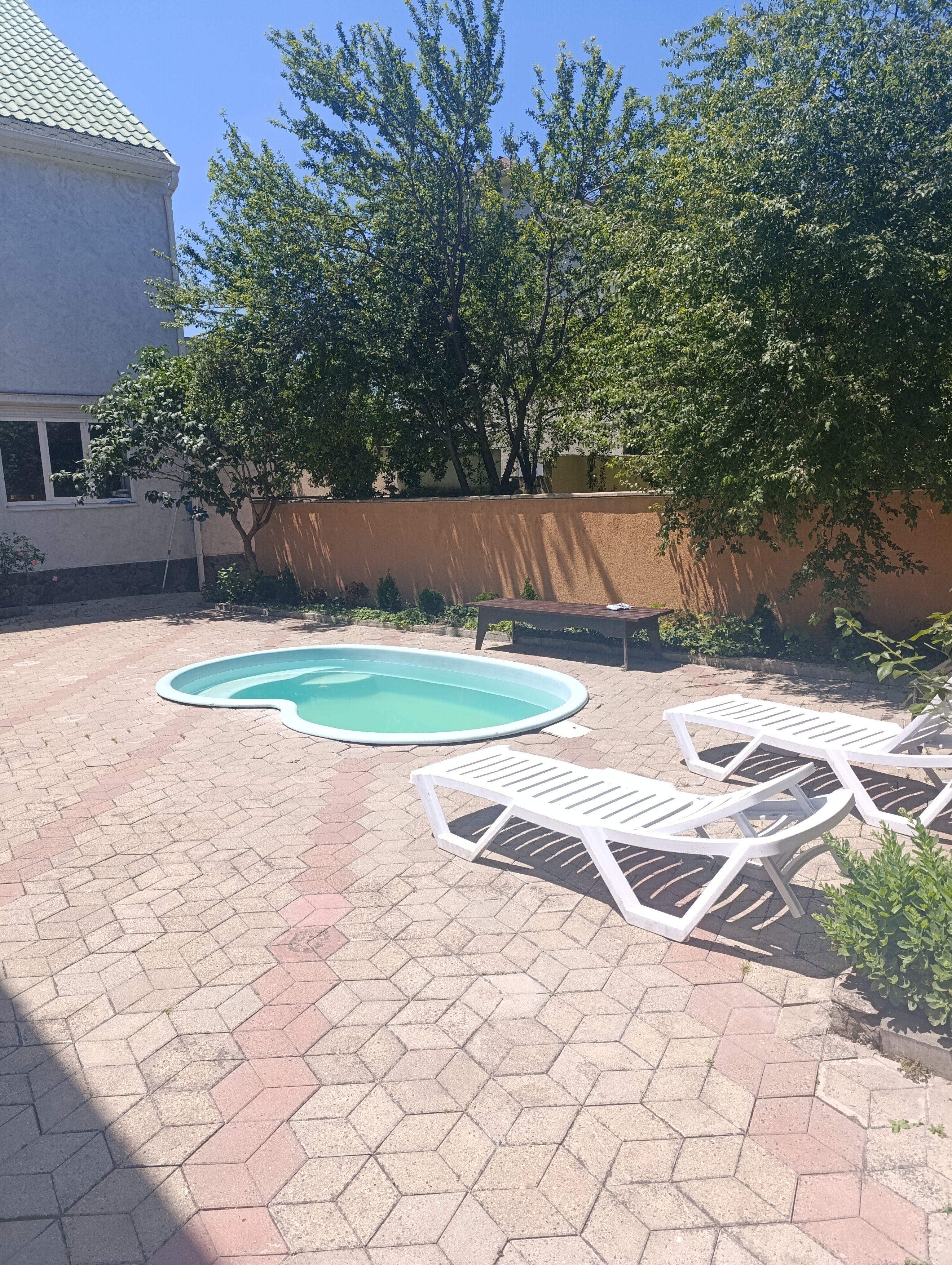 Фото Вереск