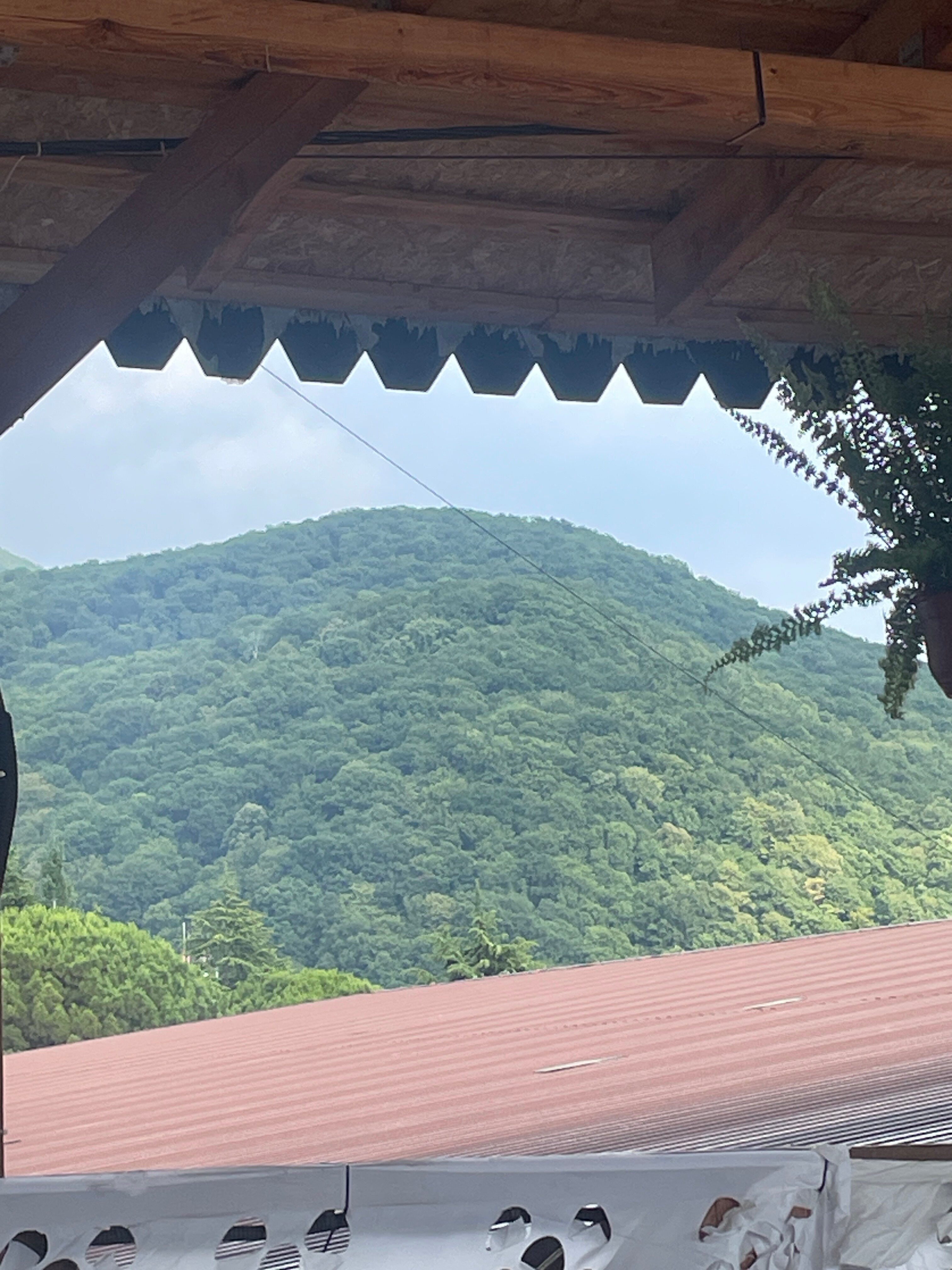 Фото Южная Гавань