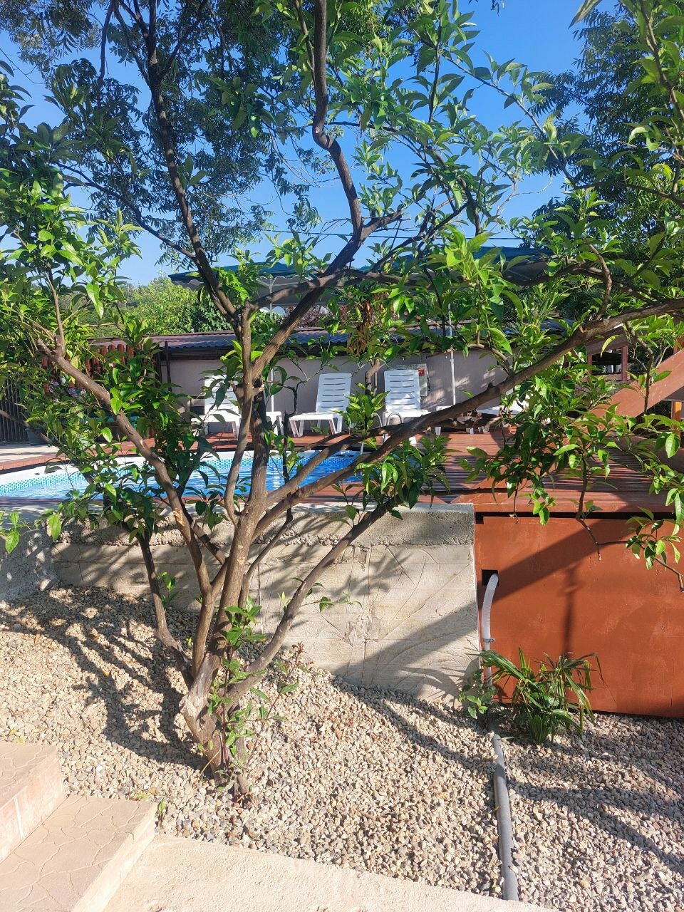 Фото Фундук