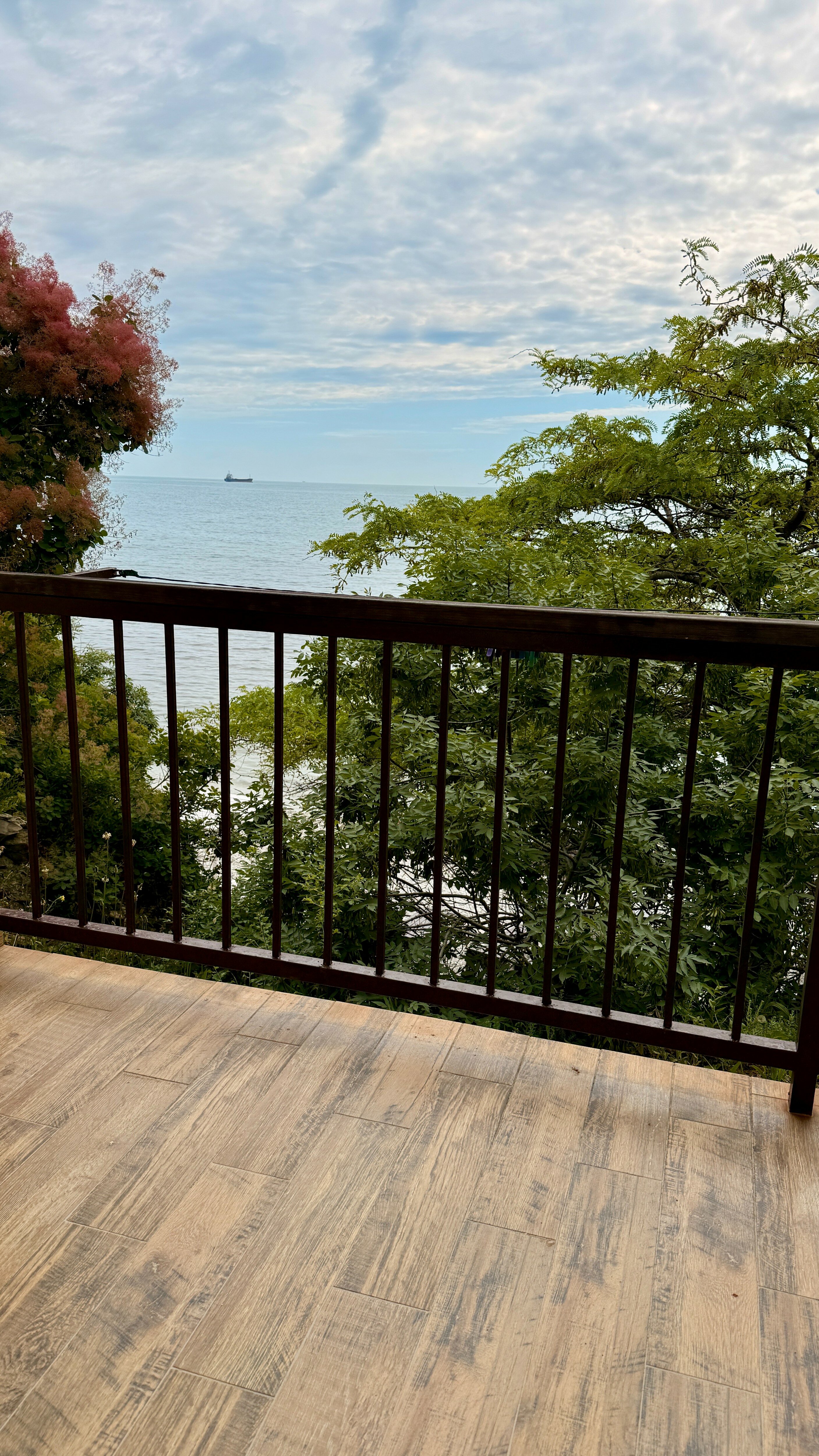 Фото Лазурный