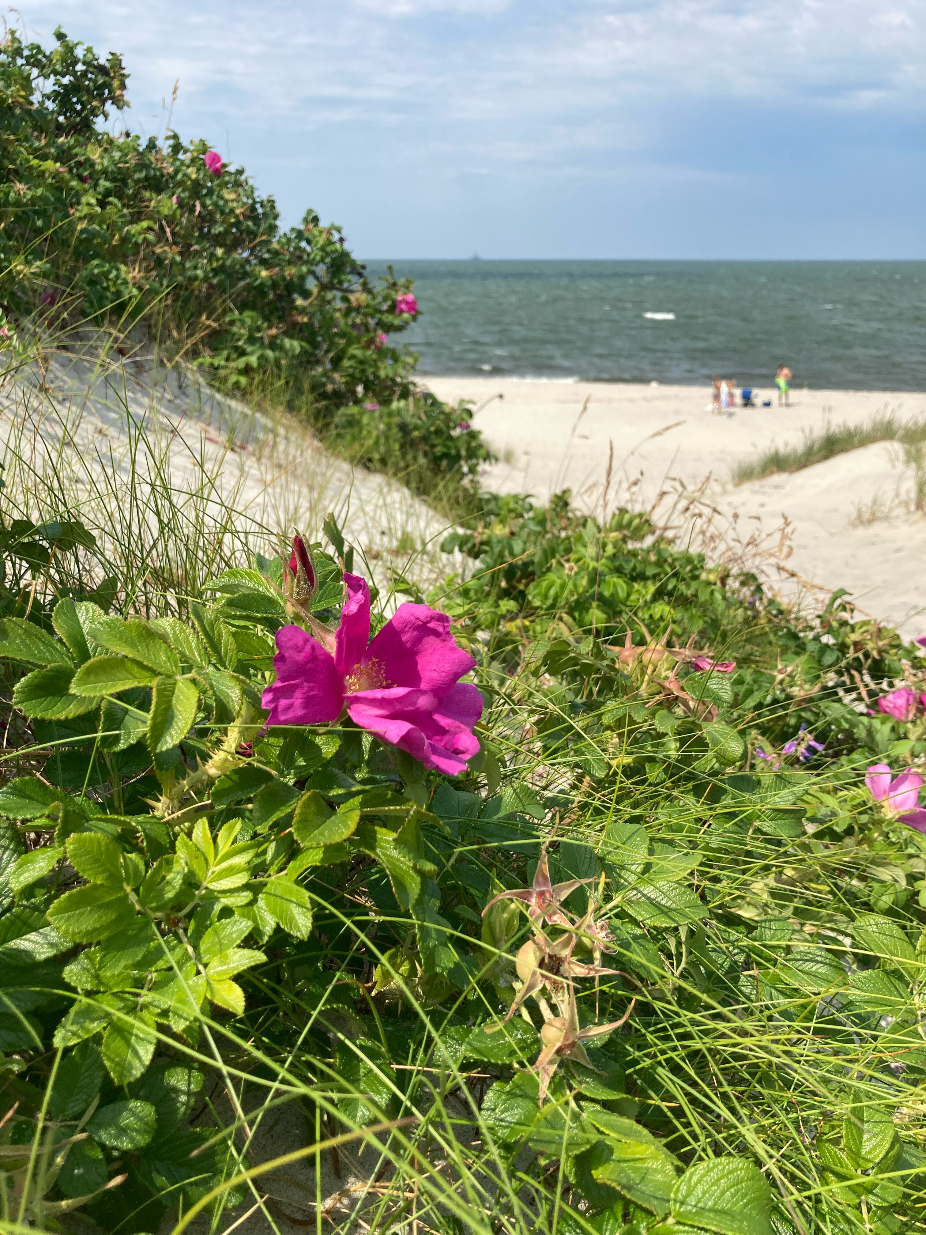 Фото Песок и Море