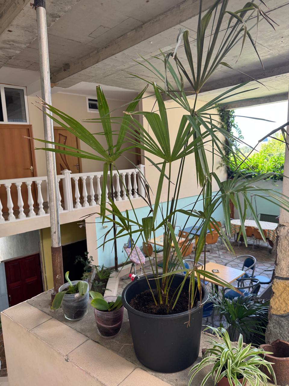 Фото Рассвет у моря