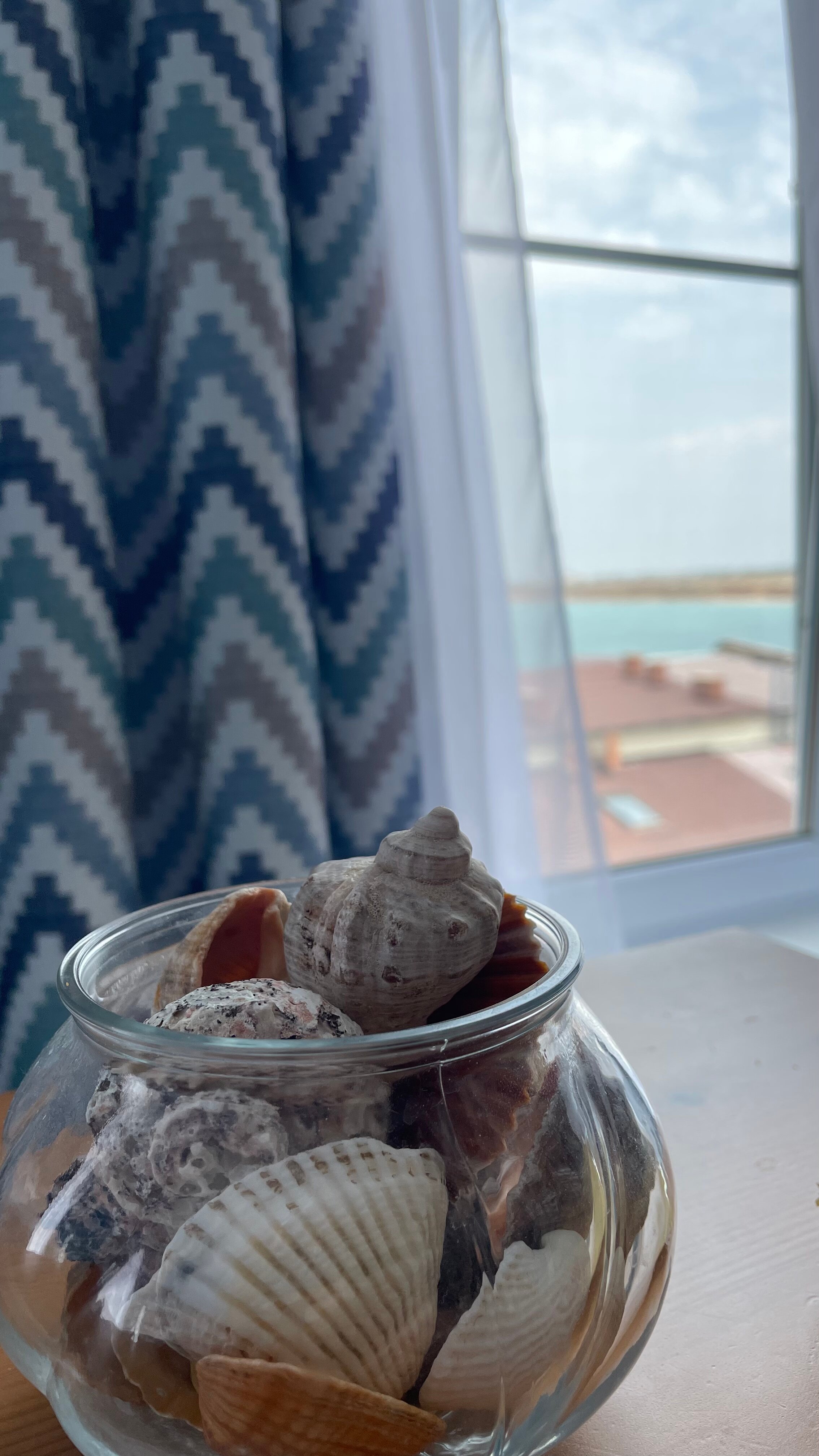 Фото Пять Ракушек