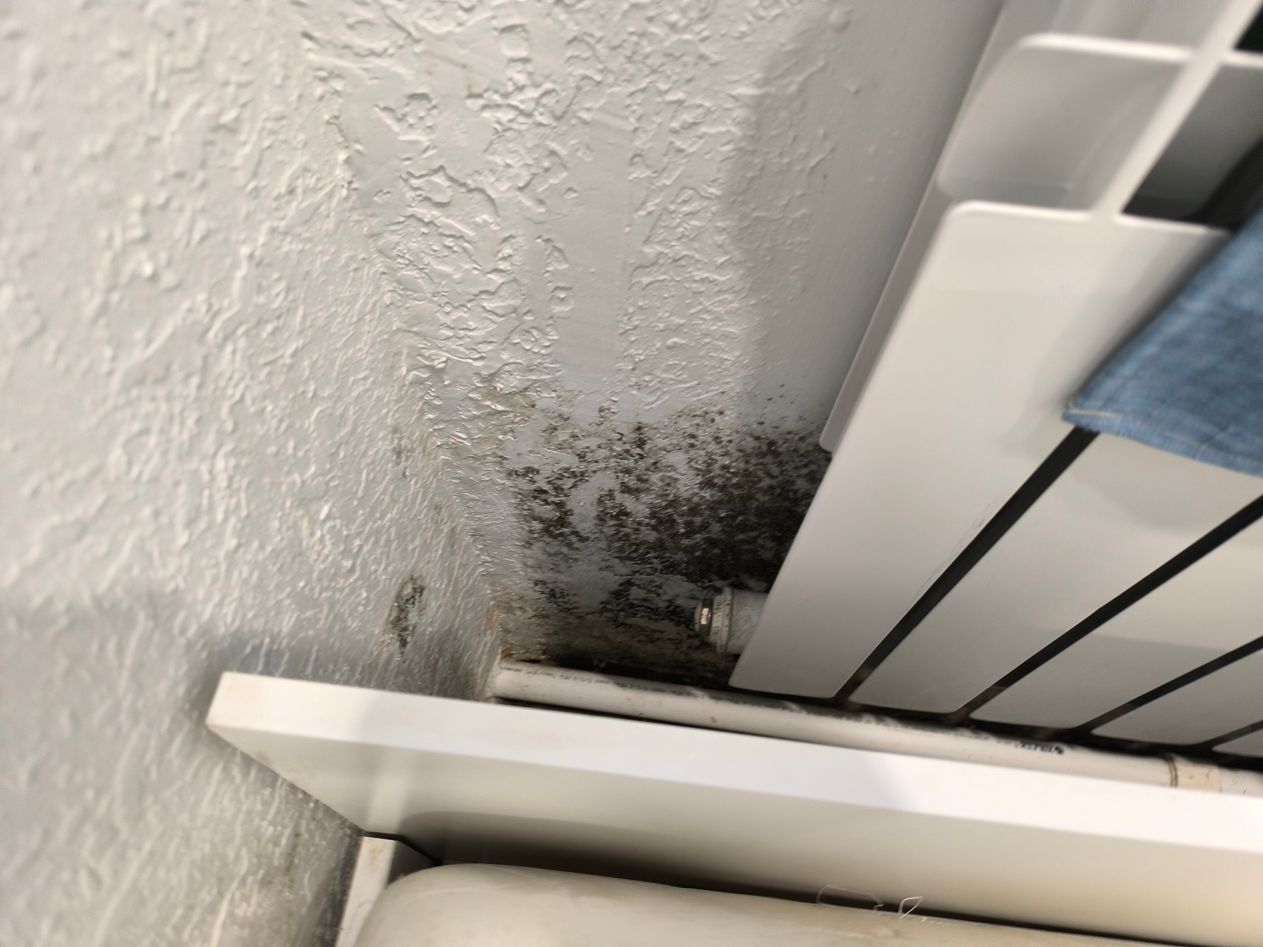 Фото Мой Питер