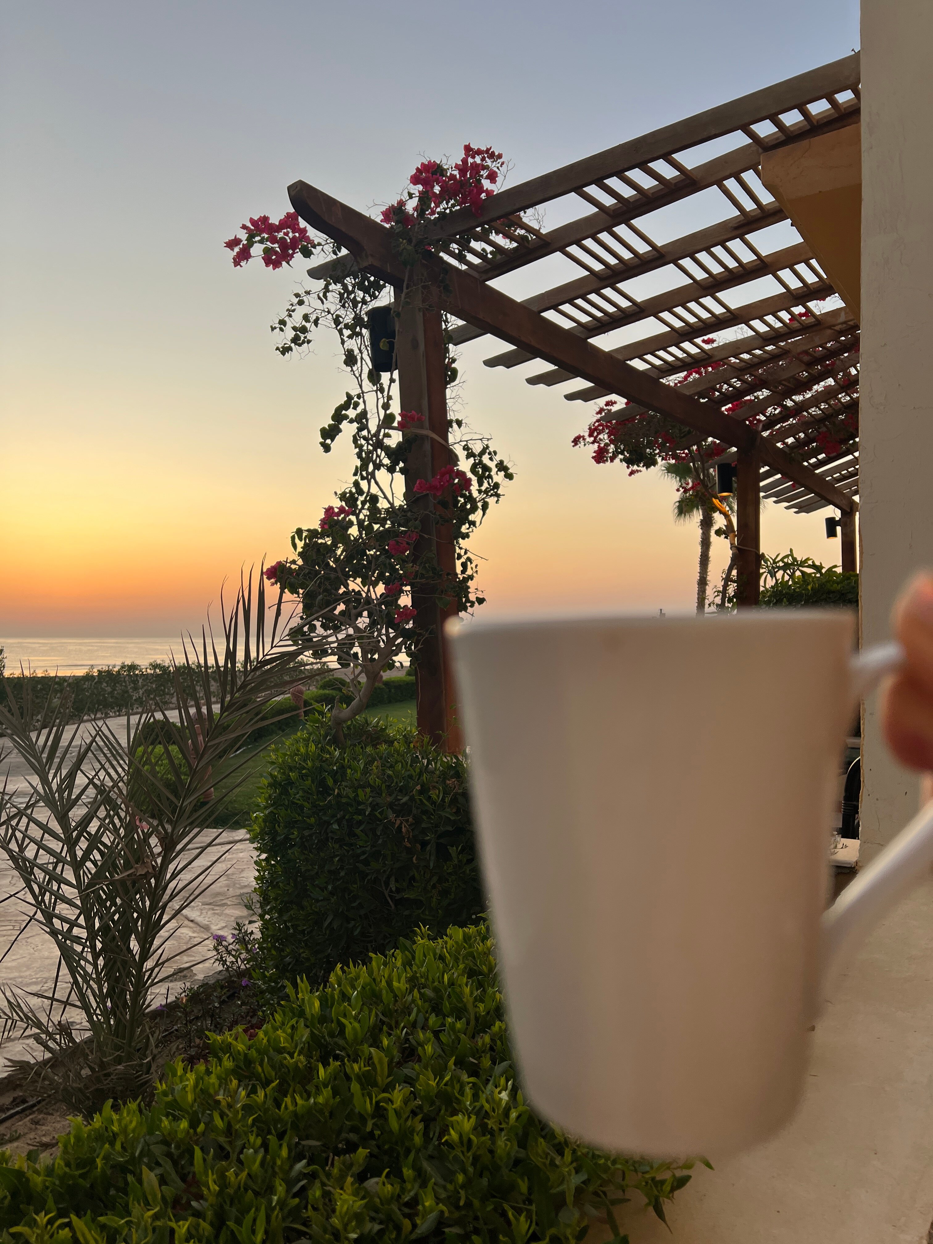 Фото Concorde Moreen Beach Resort & SPA