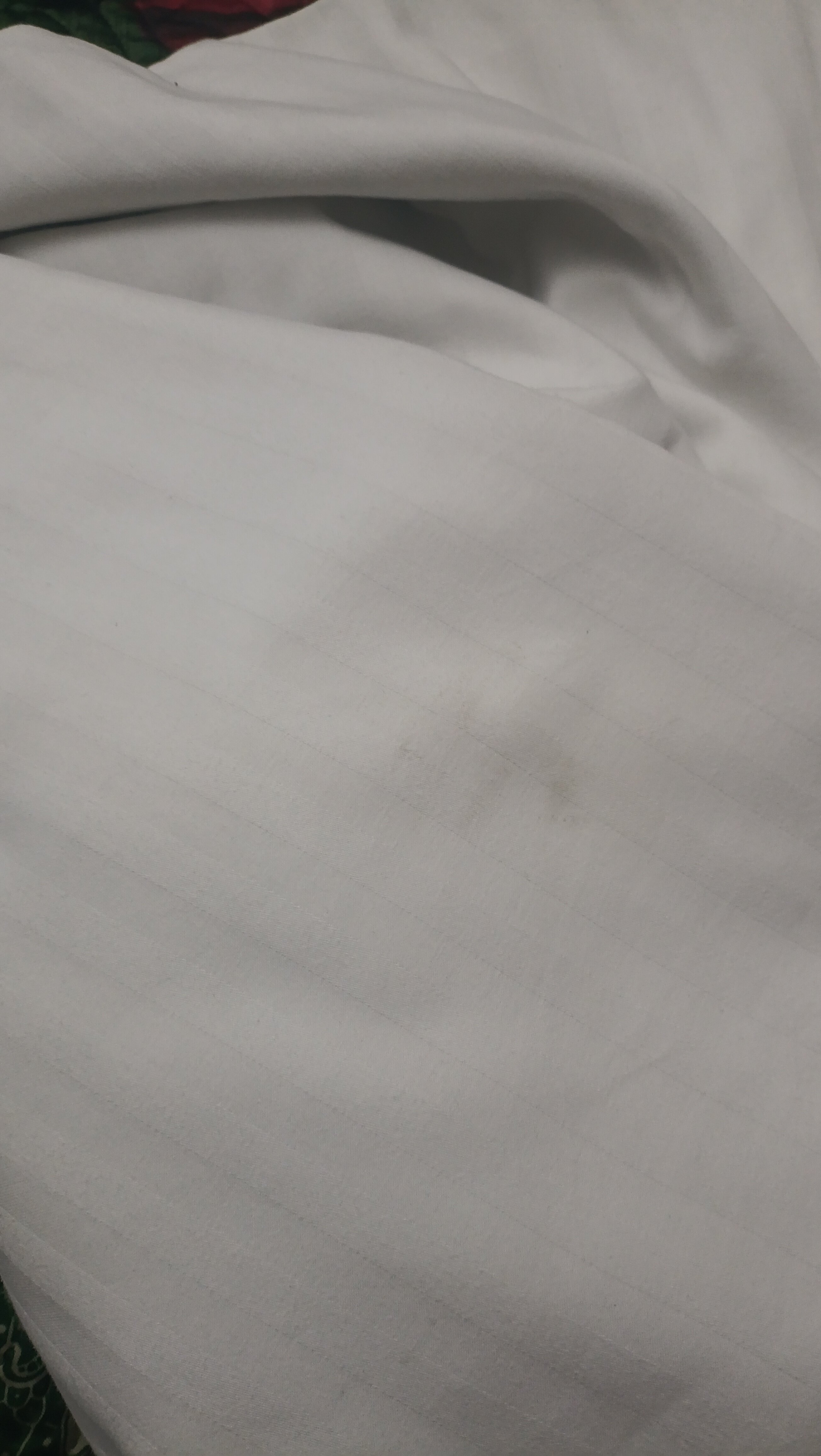 Фото У Лизы