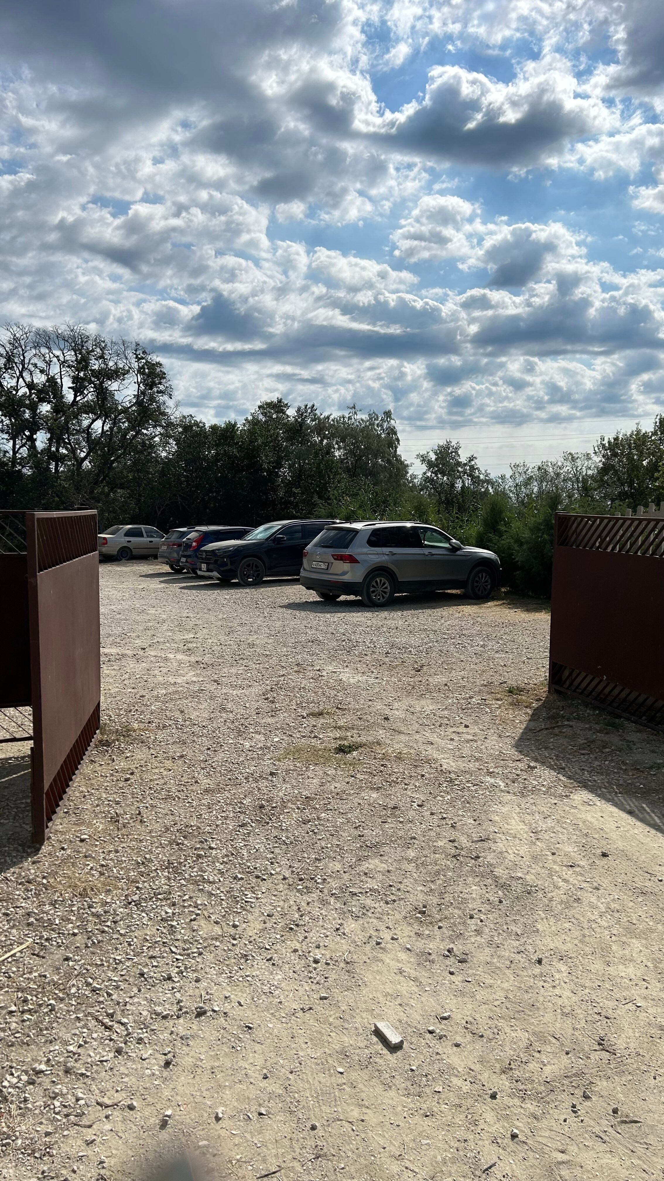 Фото Фламинго