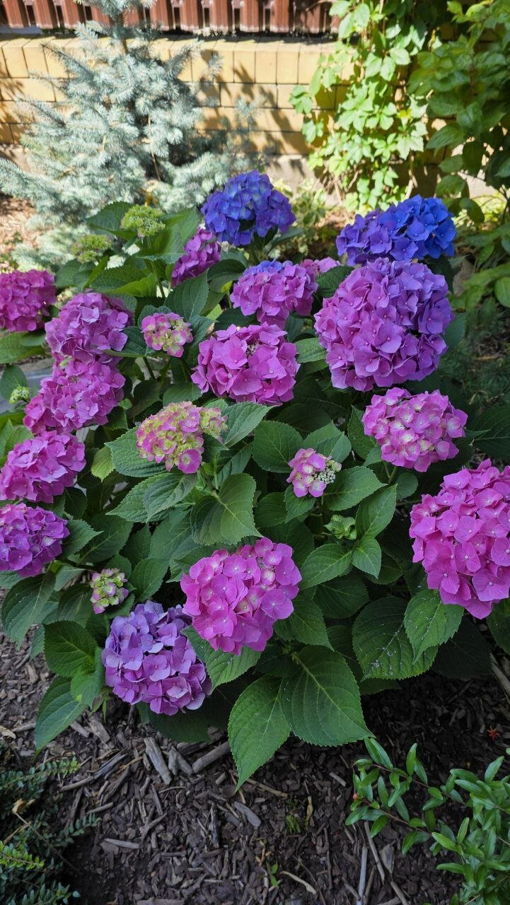 Фото Уютный