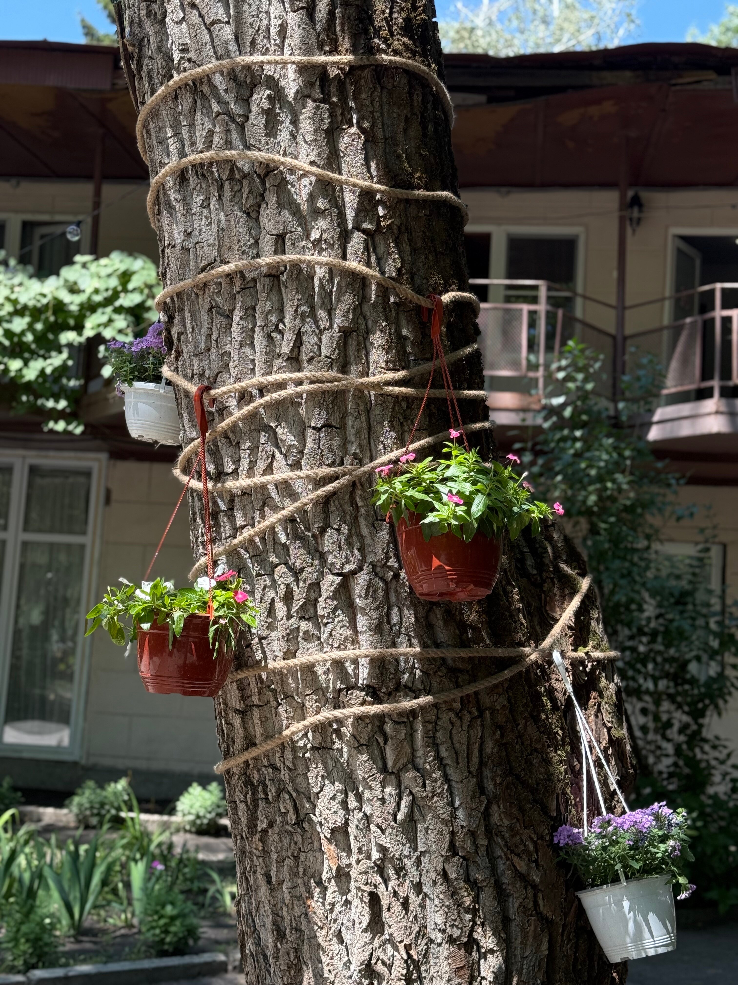 Фото Изумруд