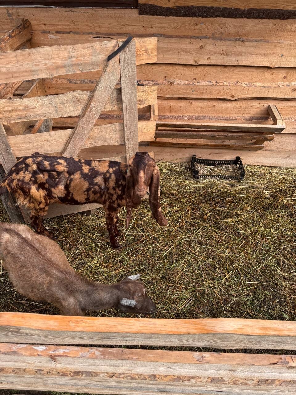 Фото Лунная Долина