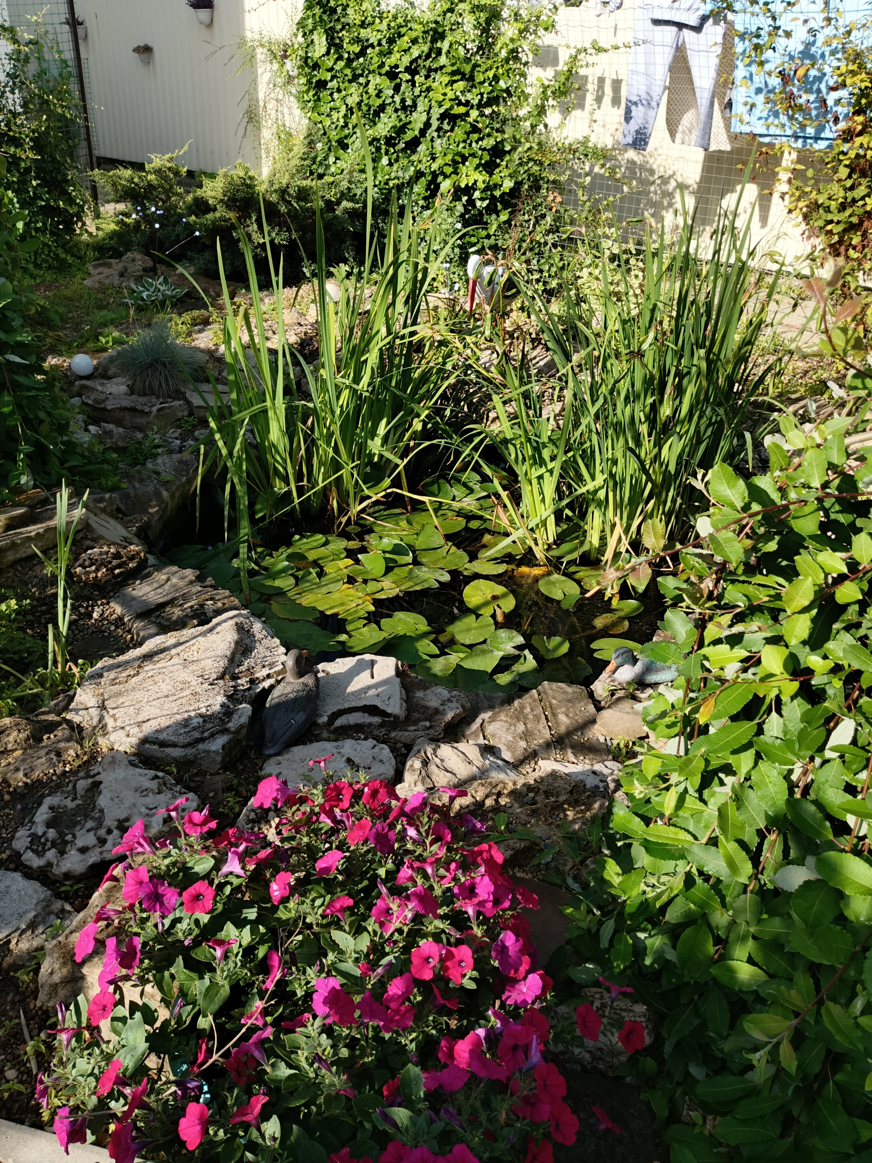 Фото Павловская усадьба