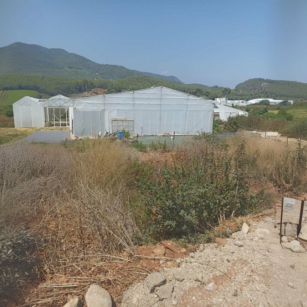 Landmark, attraction Melania Ancient Quarry, Bozyazi, photo