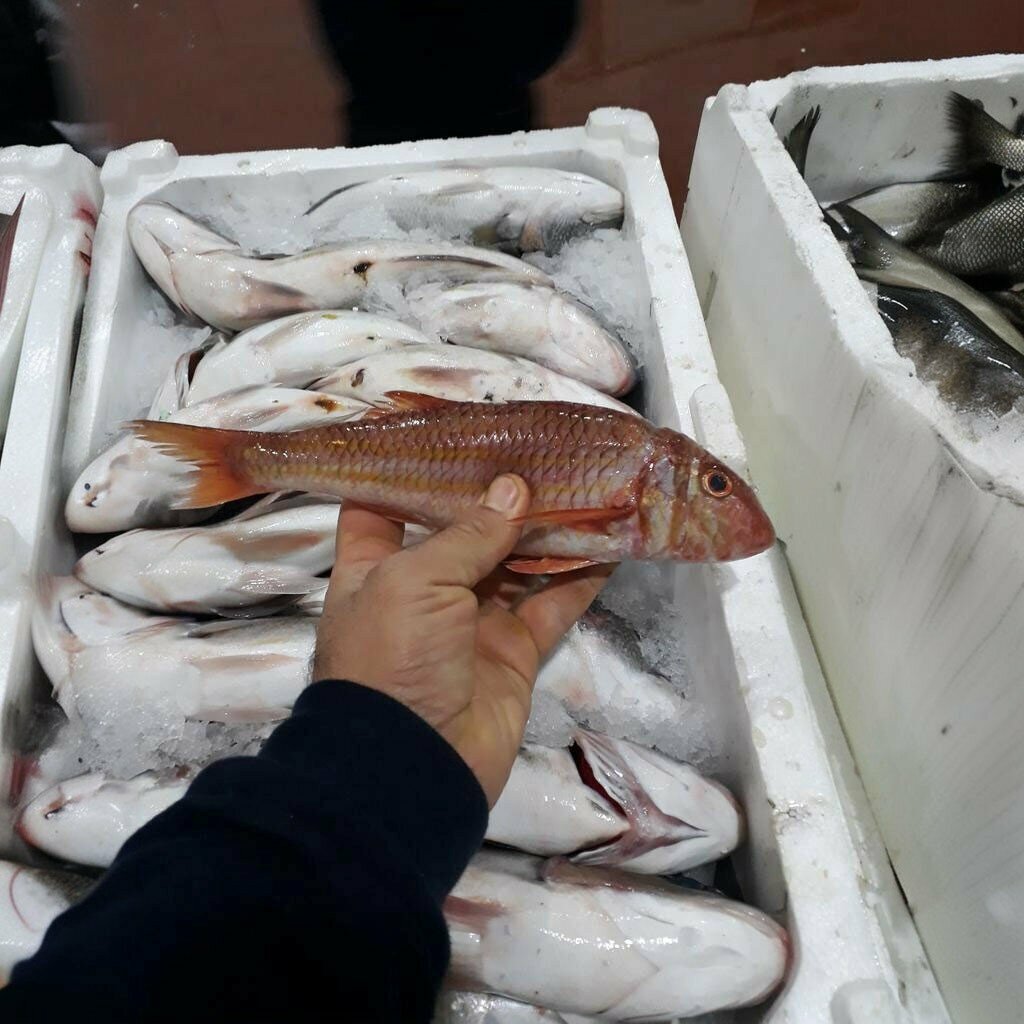 Fish and seafood Anil Seafood, Izmir, photo