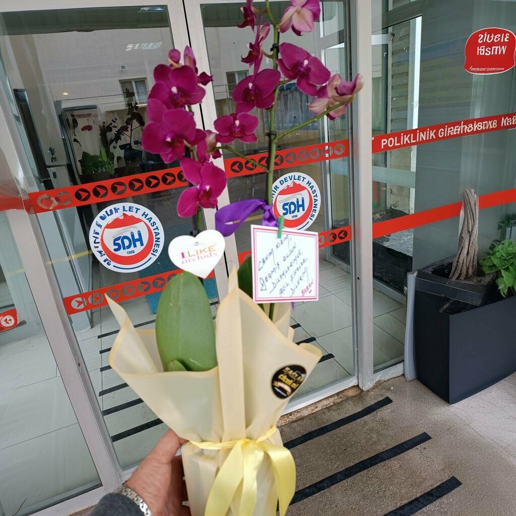 Flower shop Seydişehir Sağlam Çiçek Evi, Seydisehir, photo