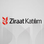 Evis Construction (Çanakkale, Canakkale Merkez  Disirict, İnönü Cad., 155), management company
