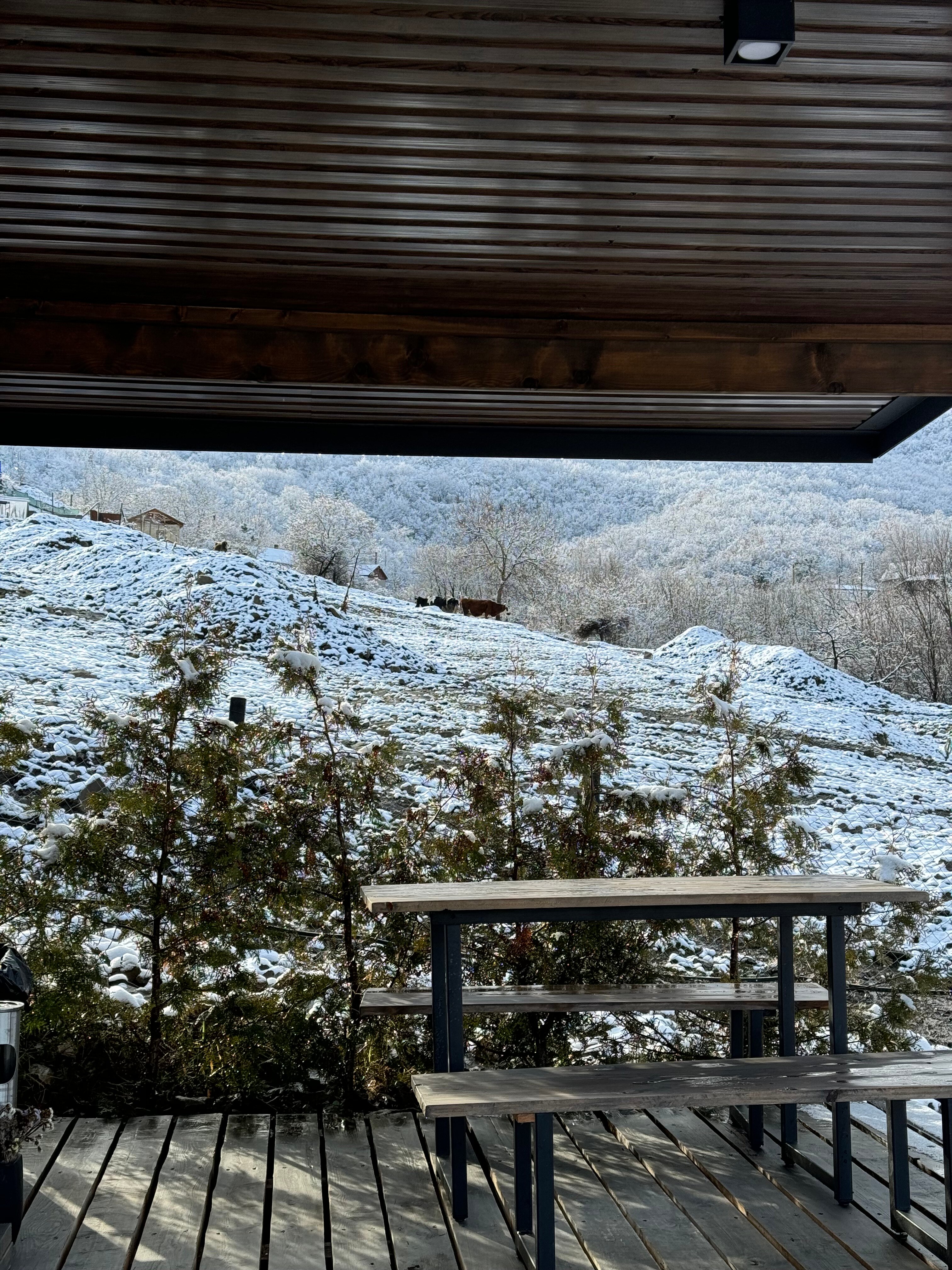 Фото Едем в горы