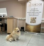 Letisea (Karla Libknekhta Street, 22), agencia de viajes