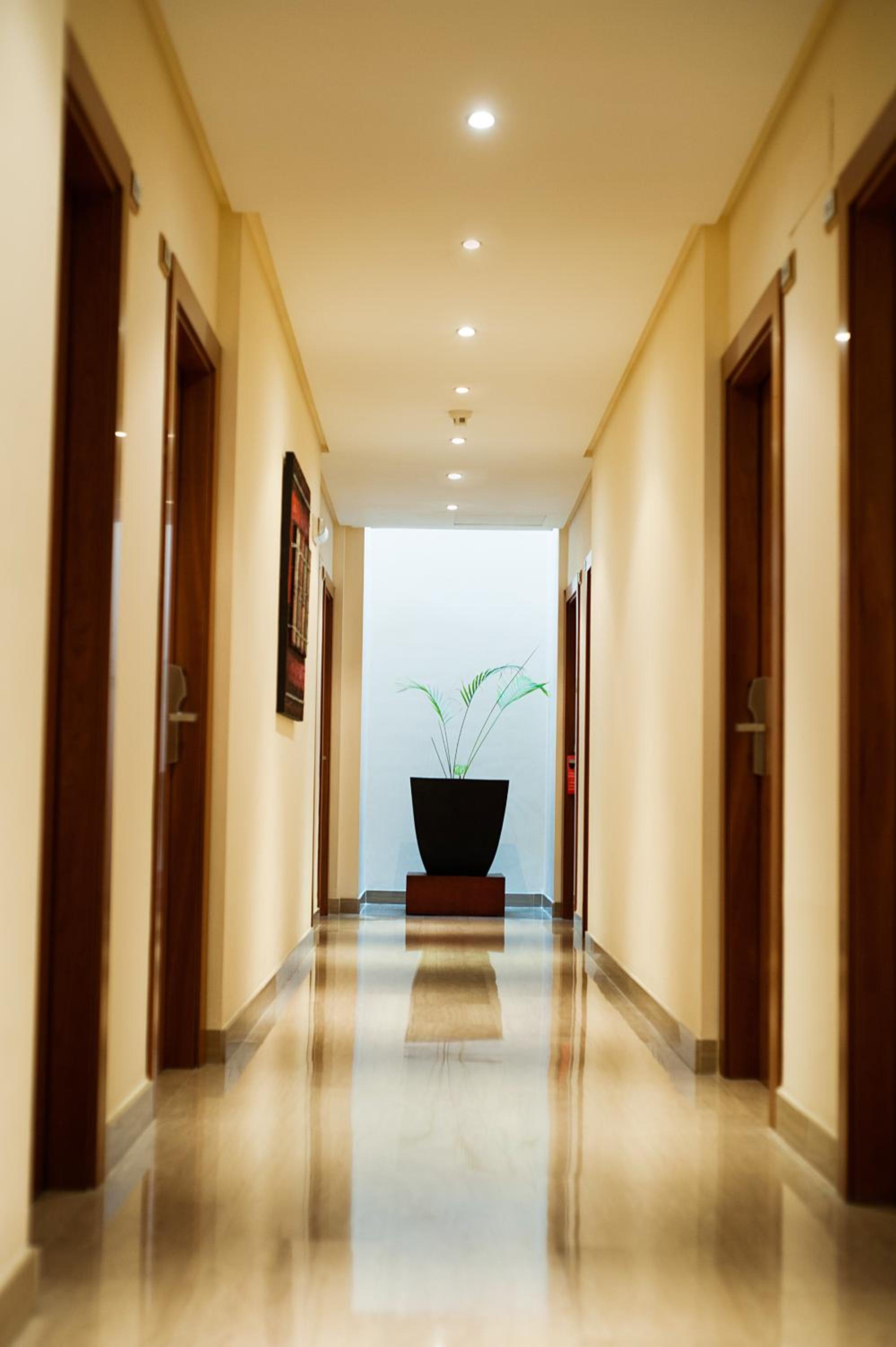 Фото Leflet Valme