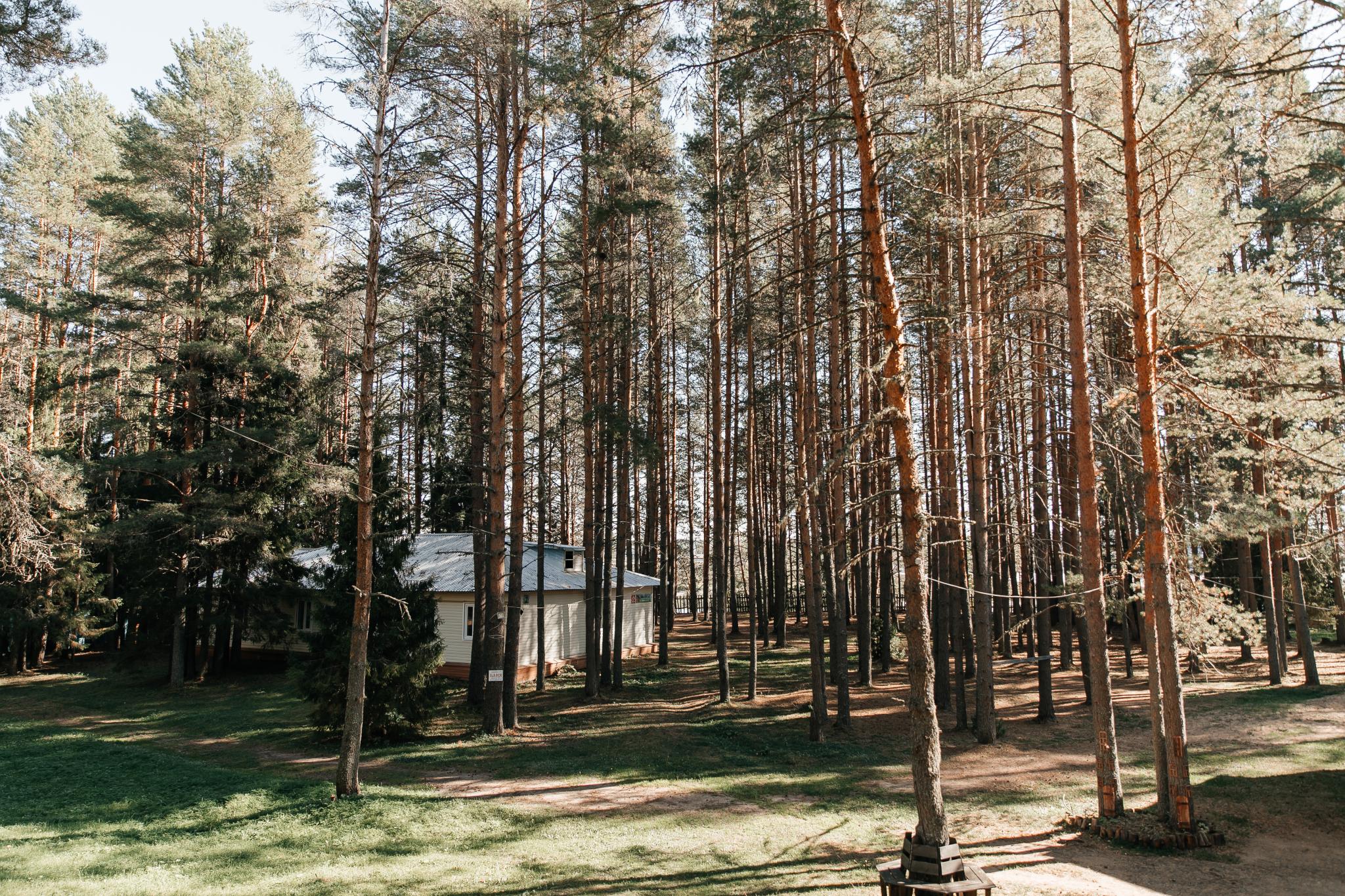 Фото Северная звезда