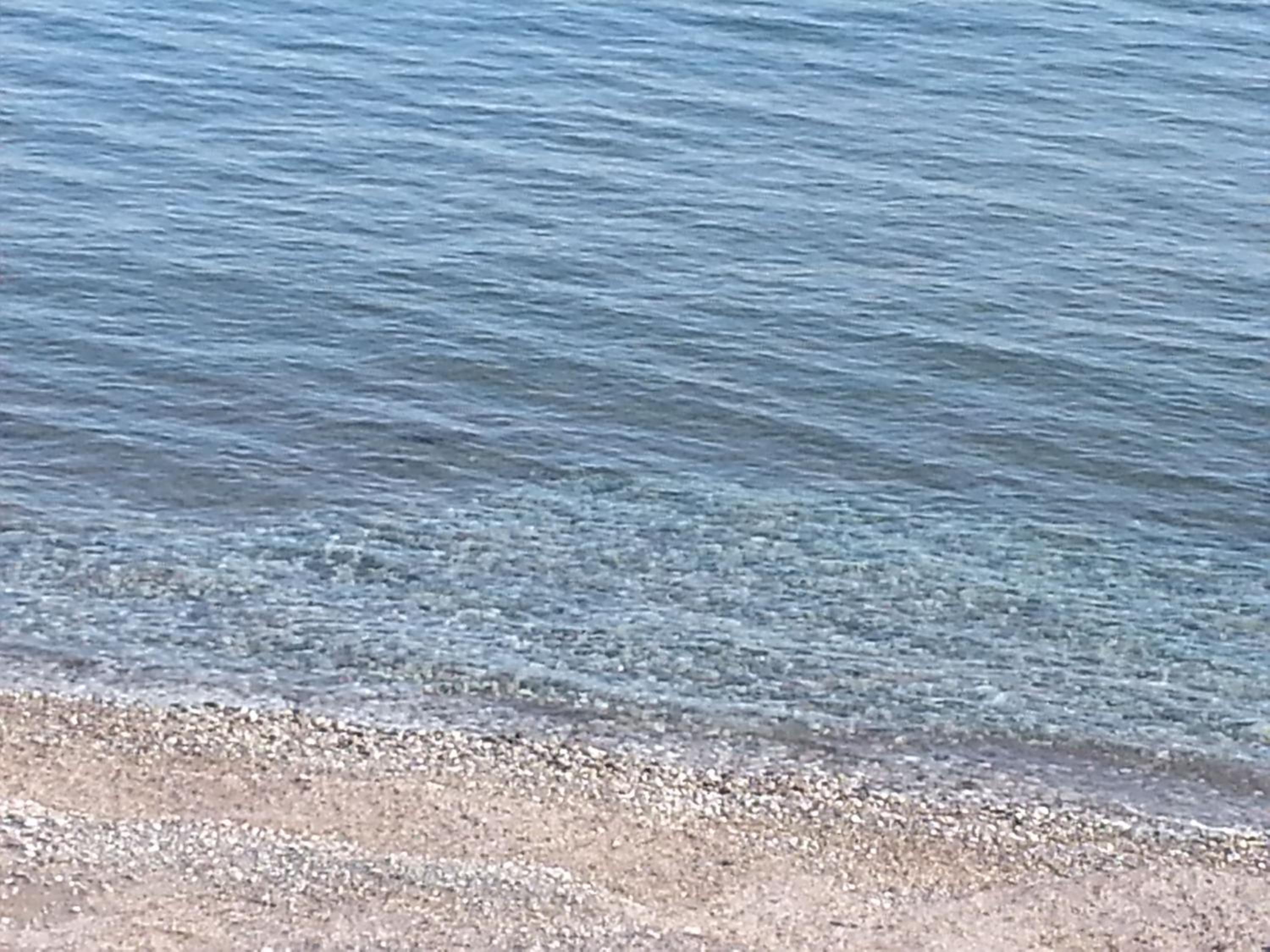 Фото Nitsas Hotel Apartments