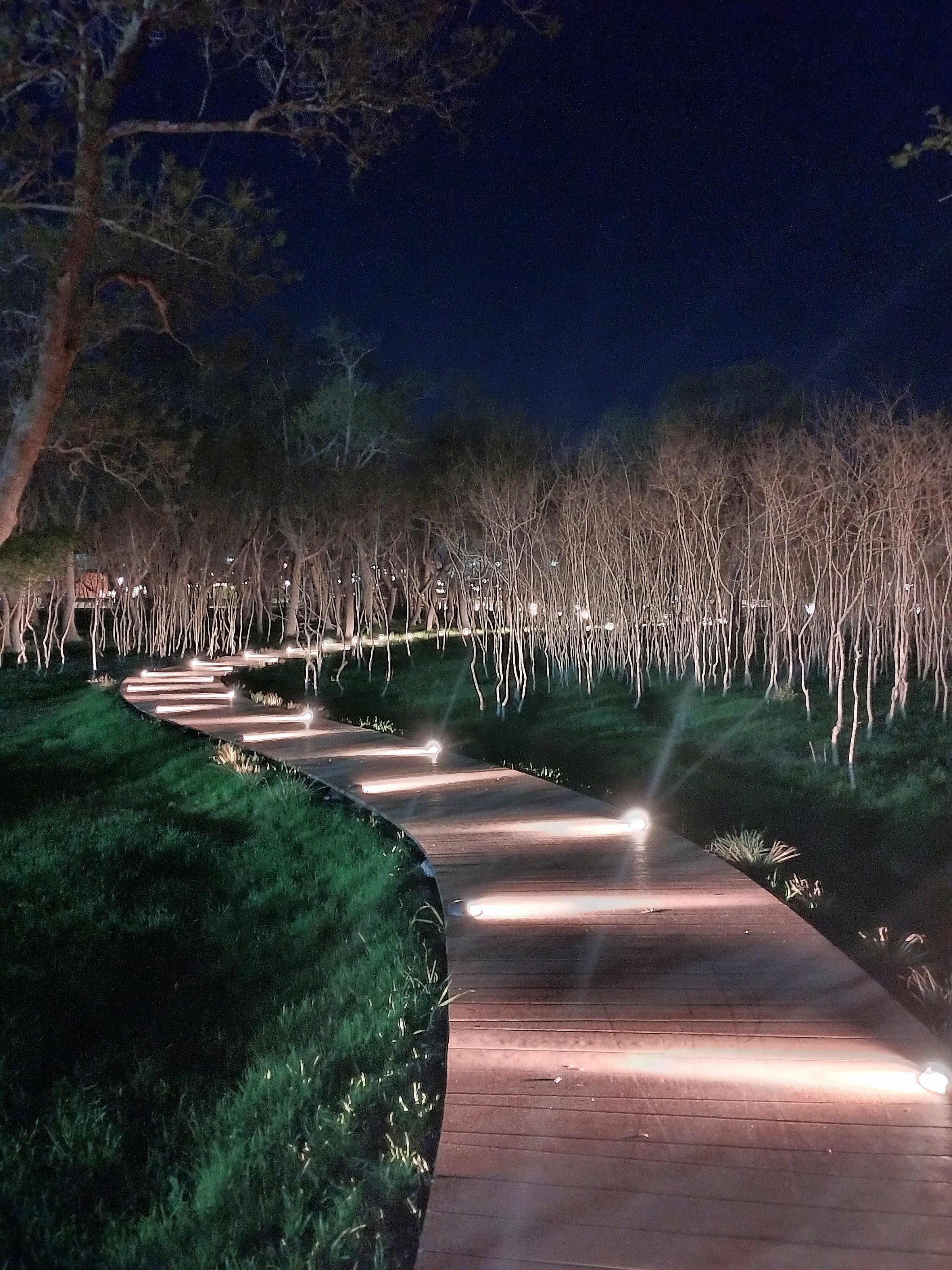 Фото Конфетти