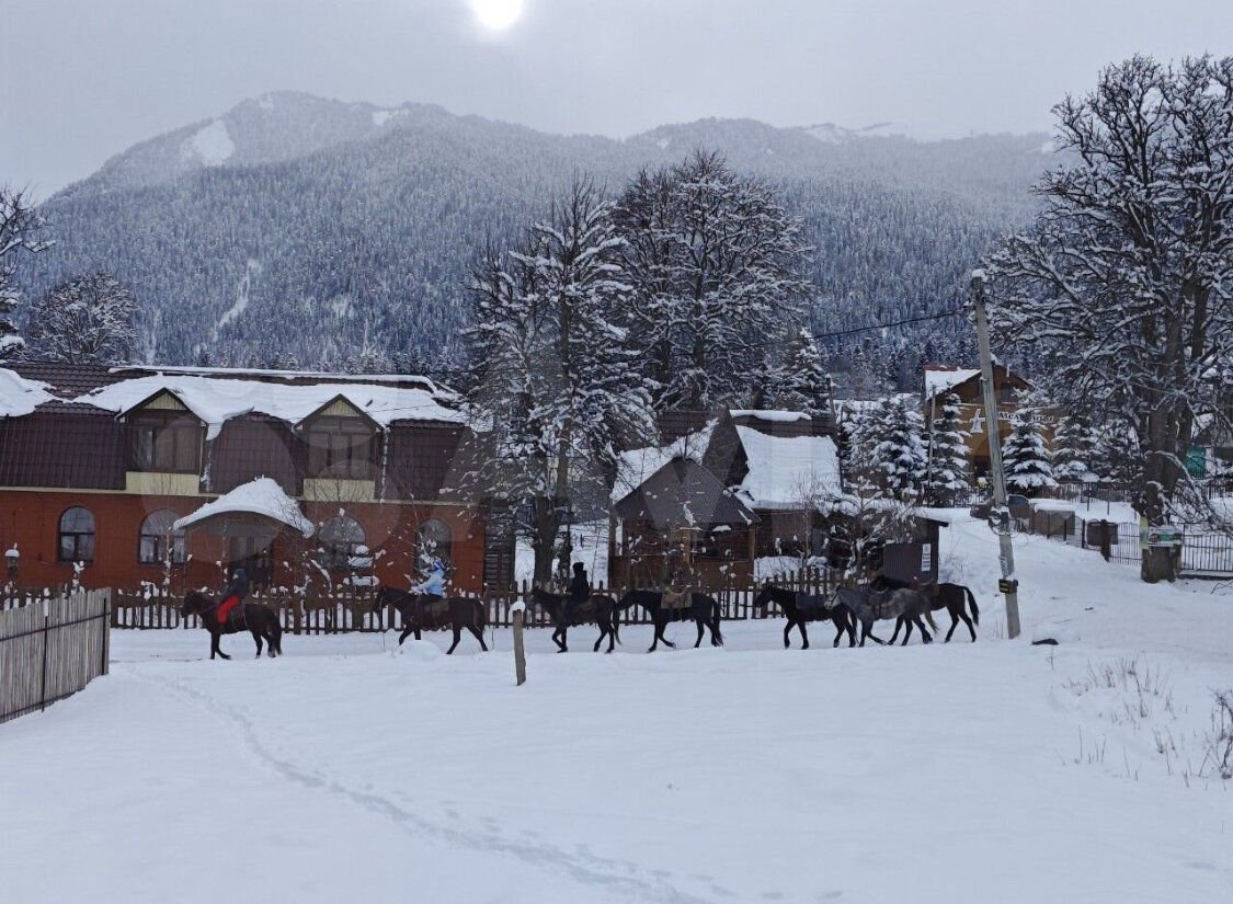 Фото отеля 5