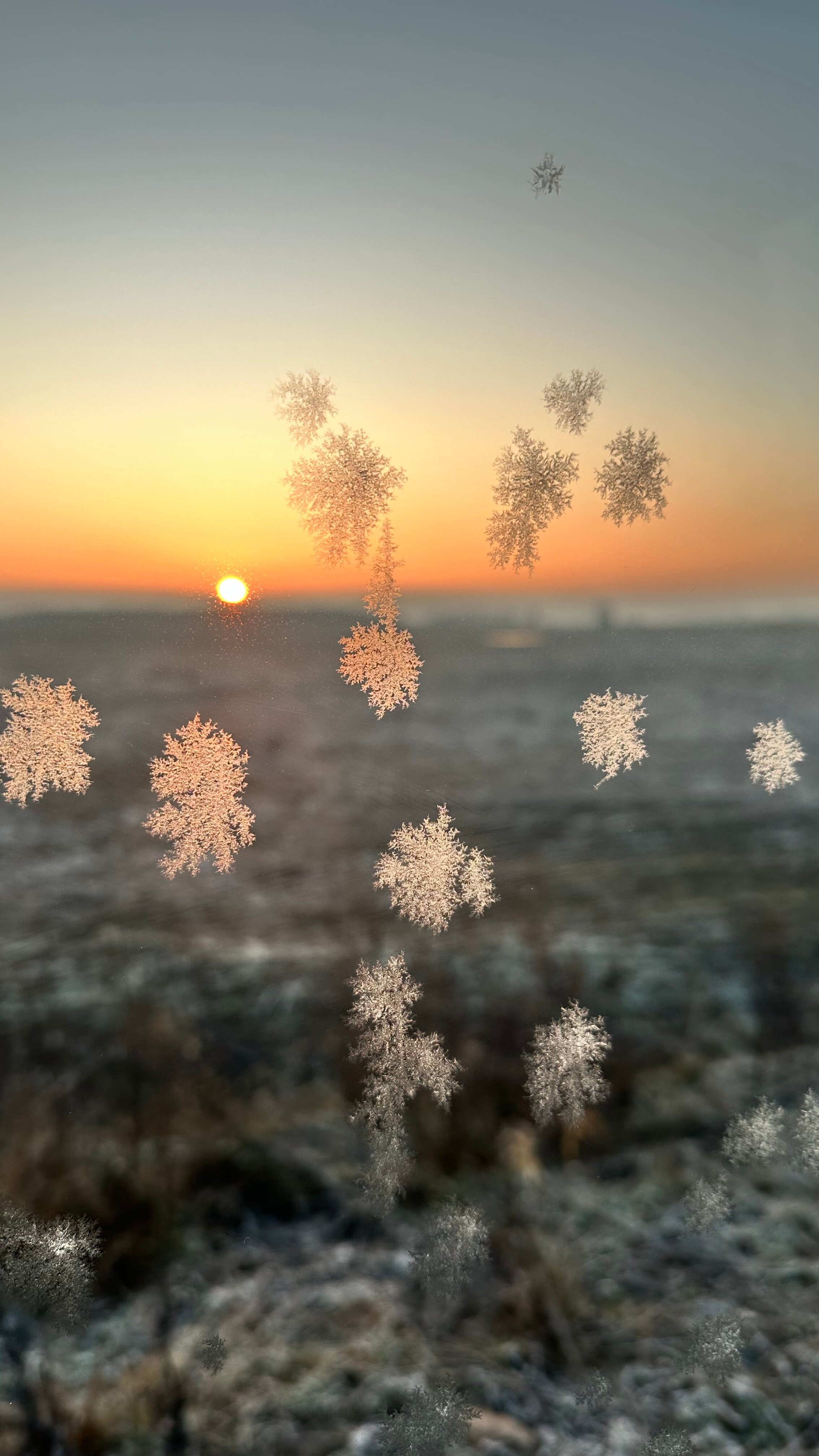 Фото Липовый Парк