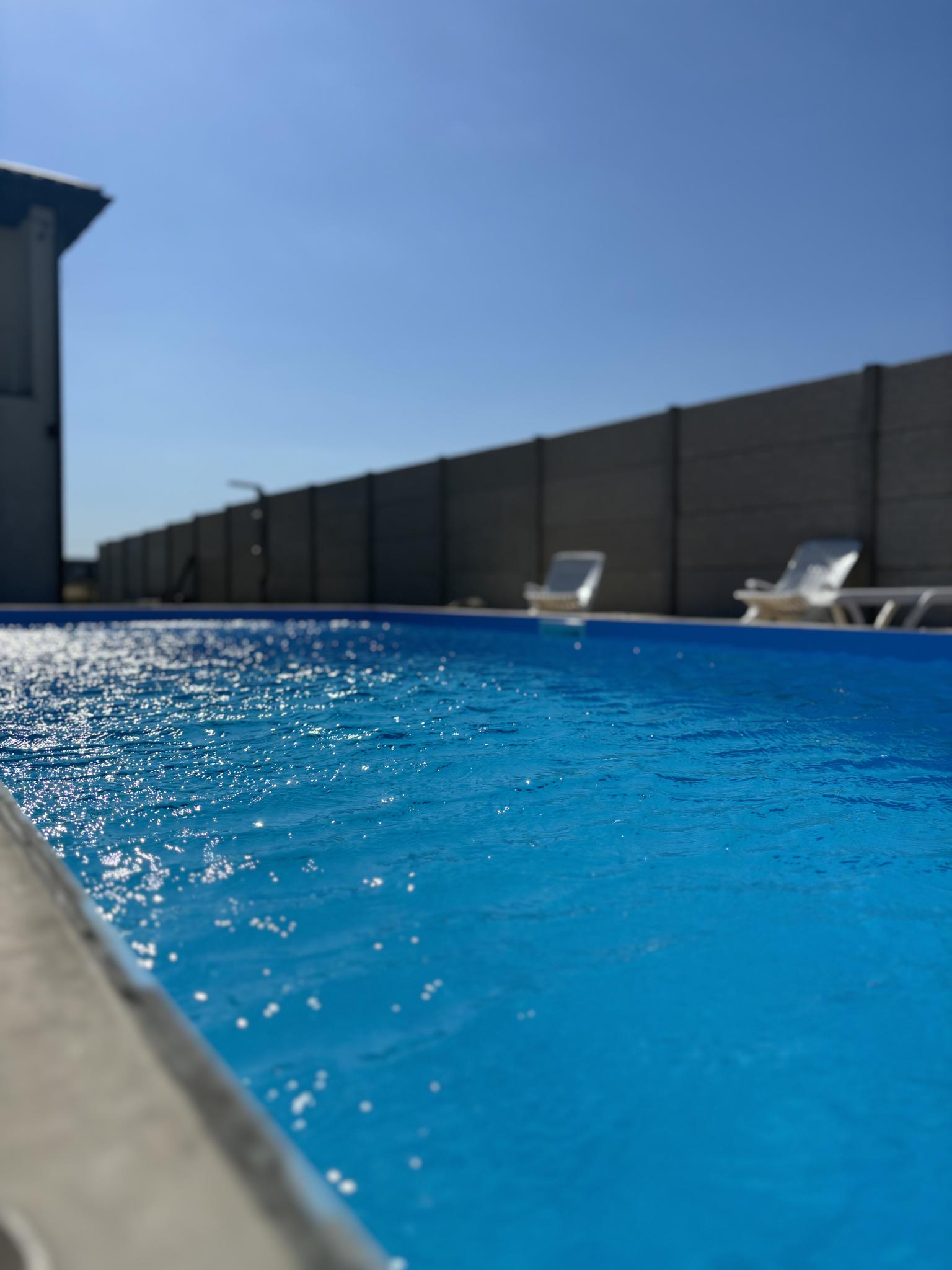 Фото Лаванда