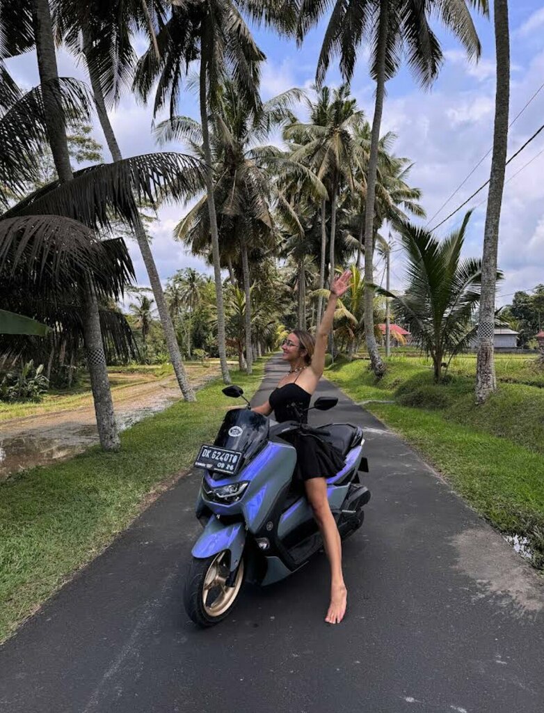 Landmark, attraction Amazing Palm Tree, Bali, photo