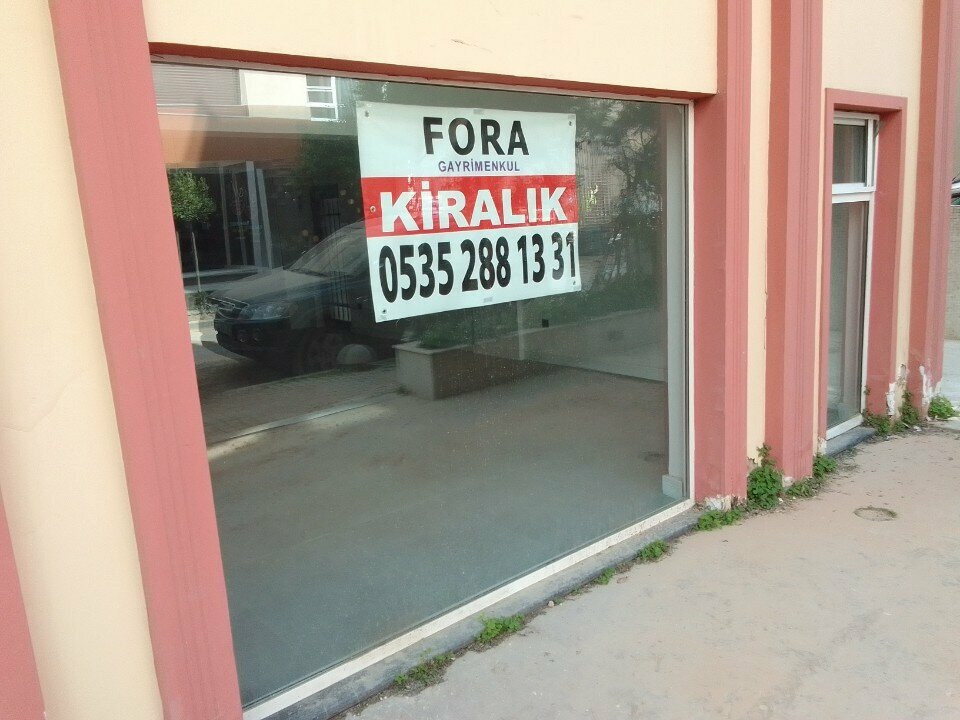 Web design studio Ege Internet, Izmir, photo