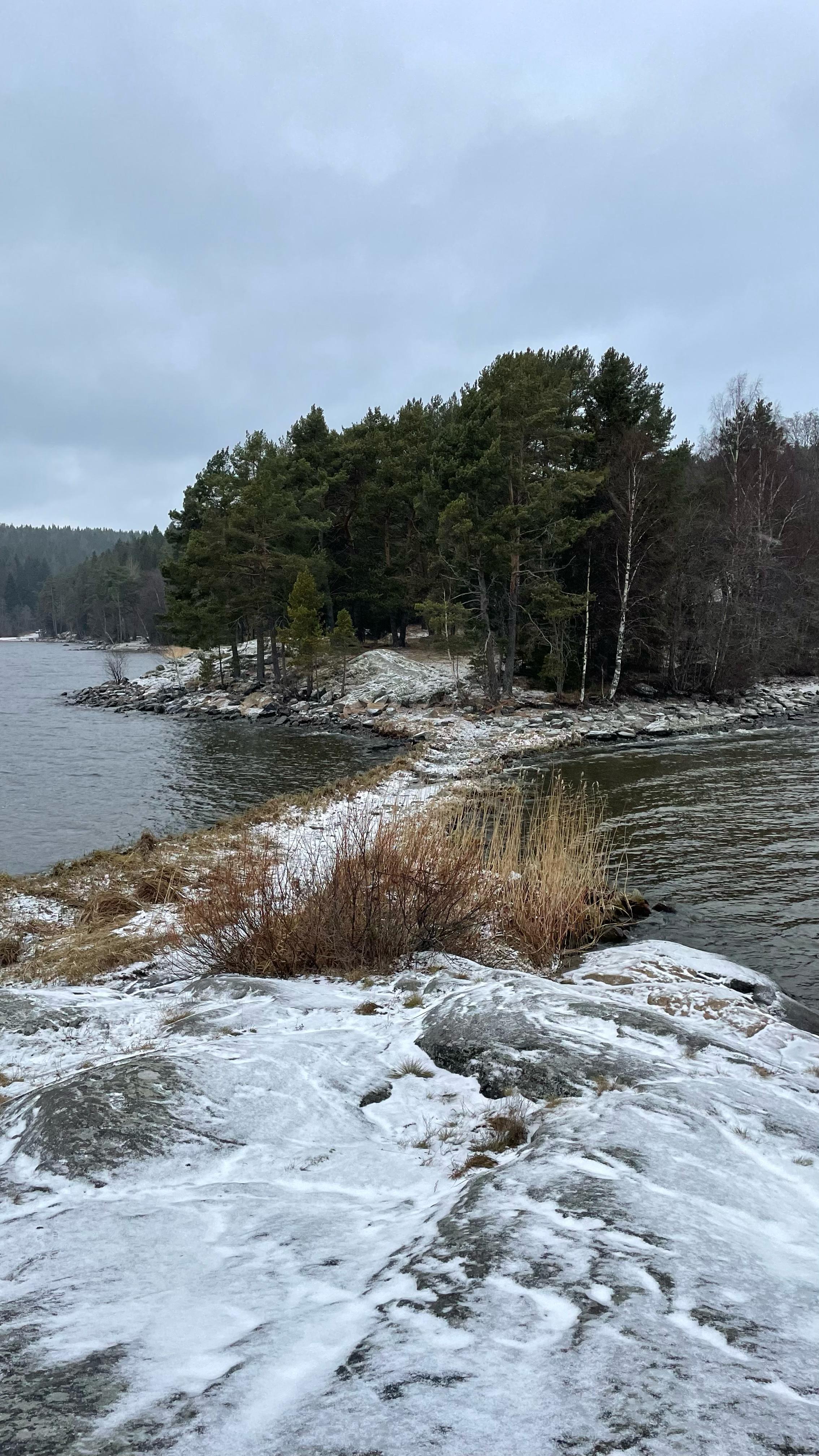 Фото Scandi home