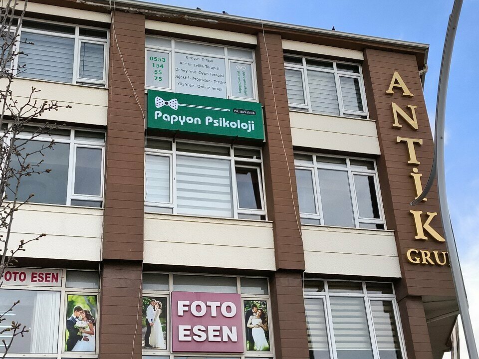 Psychological service Papyon Psikoloji, Ankara, photo